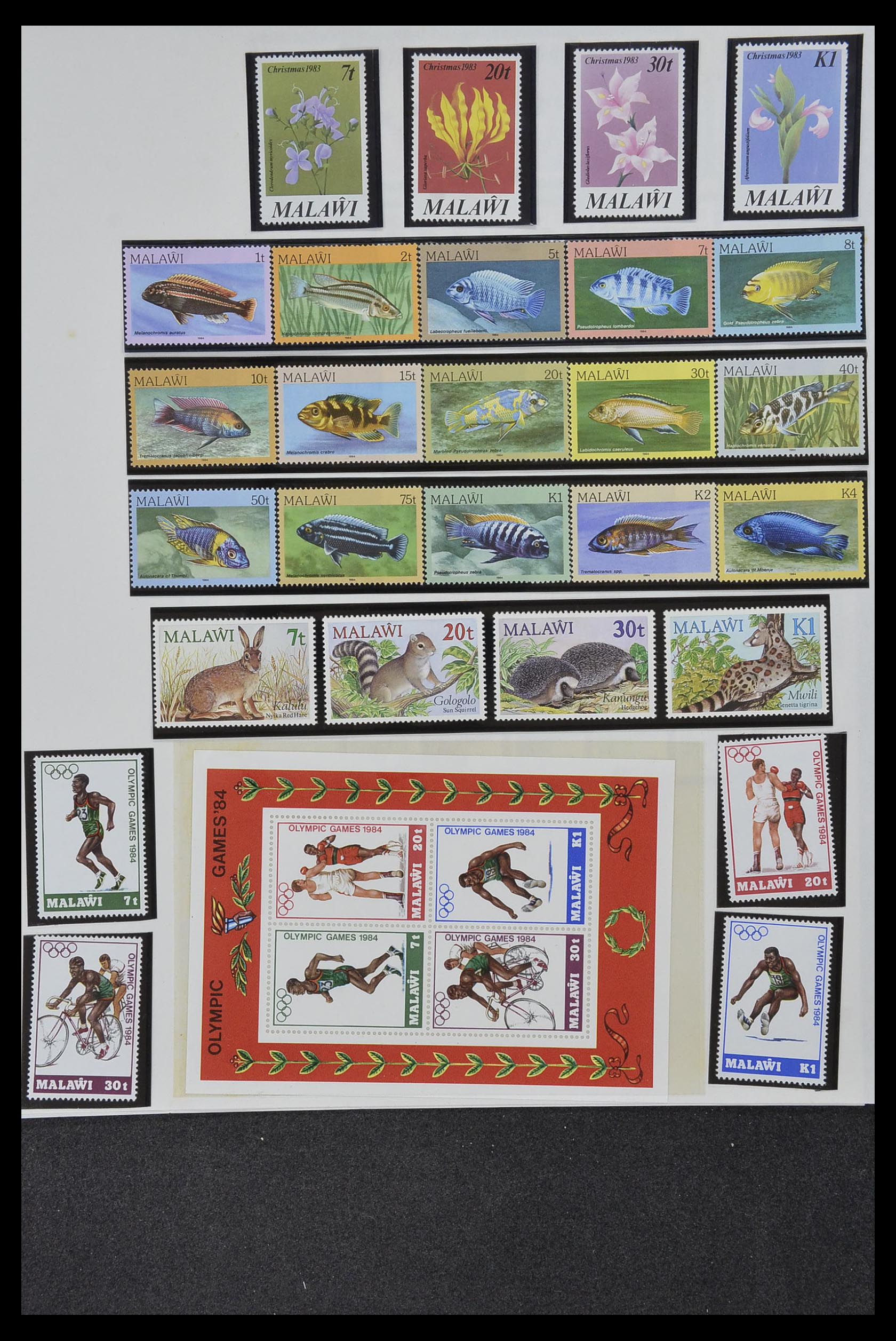 34381 058 - Postzegelverzameling 34381 Engelse koloniën 1937-1984.