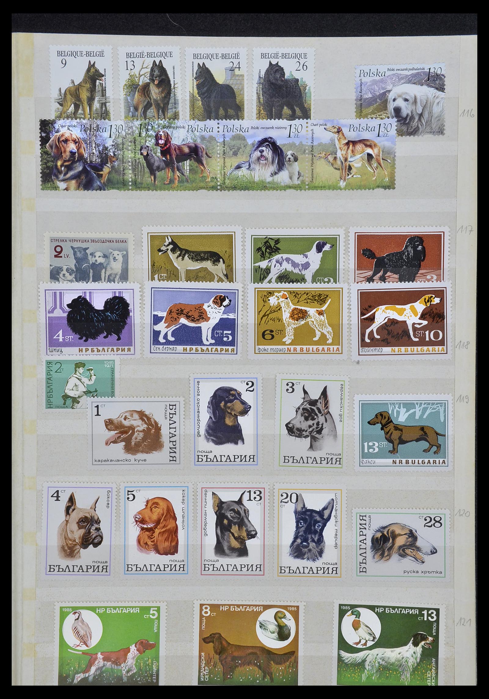 34410 003 - Postzegelverzameling 34410 Motief Honden 1965-2011.