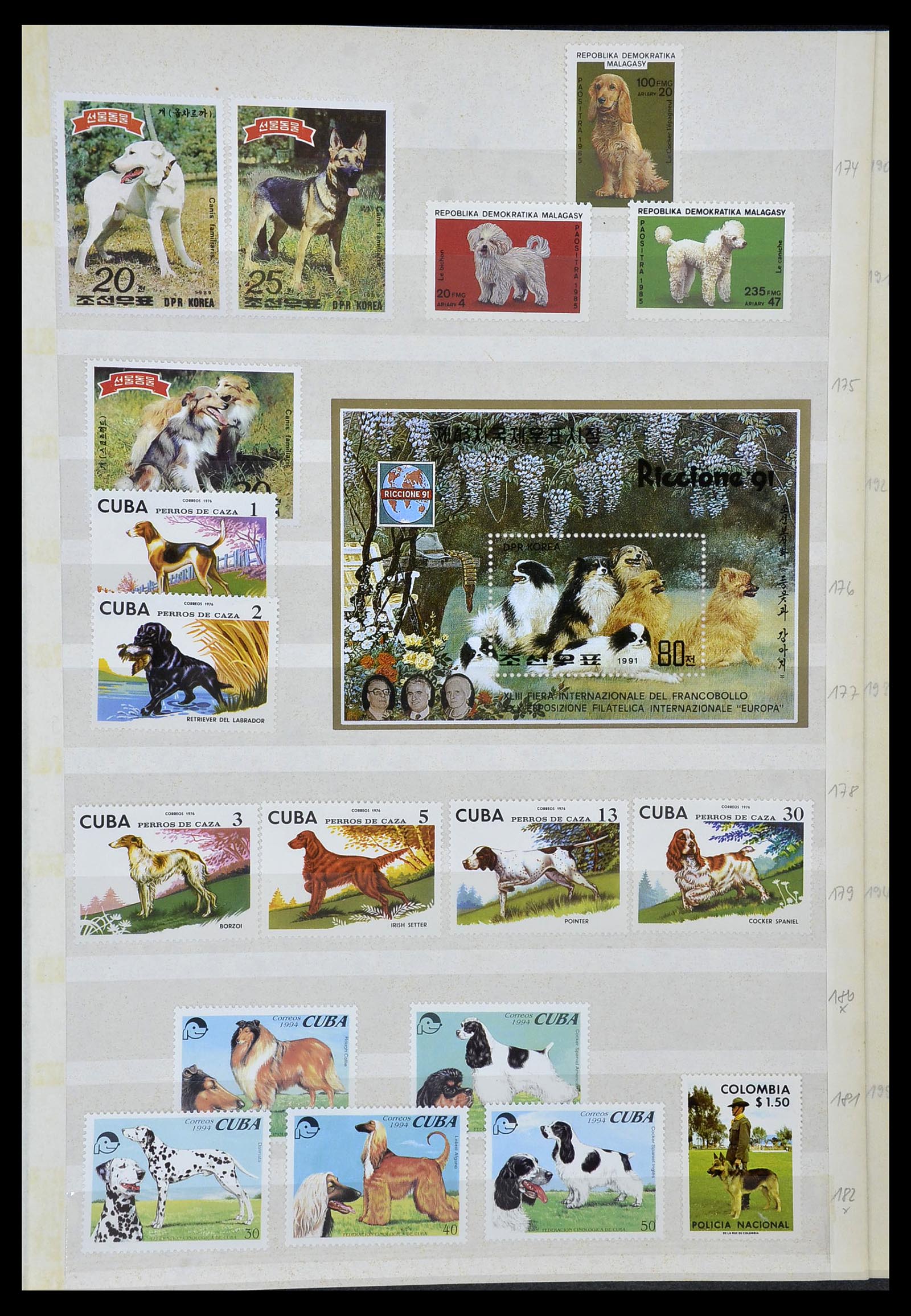 34410 013 - Postzegelverzameling 34410 Motief Honden 1965-2011.