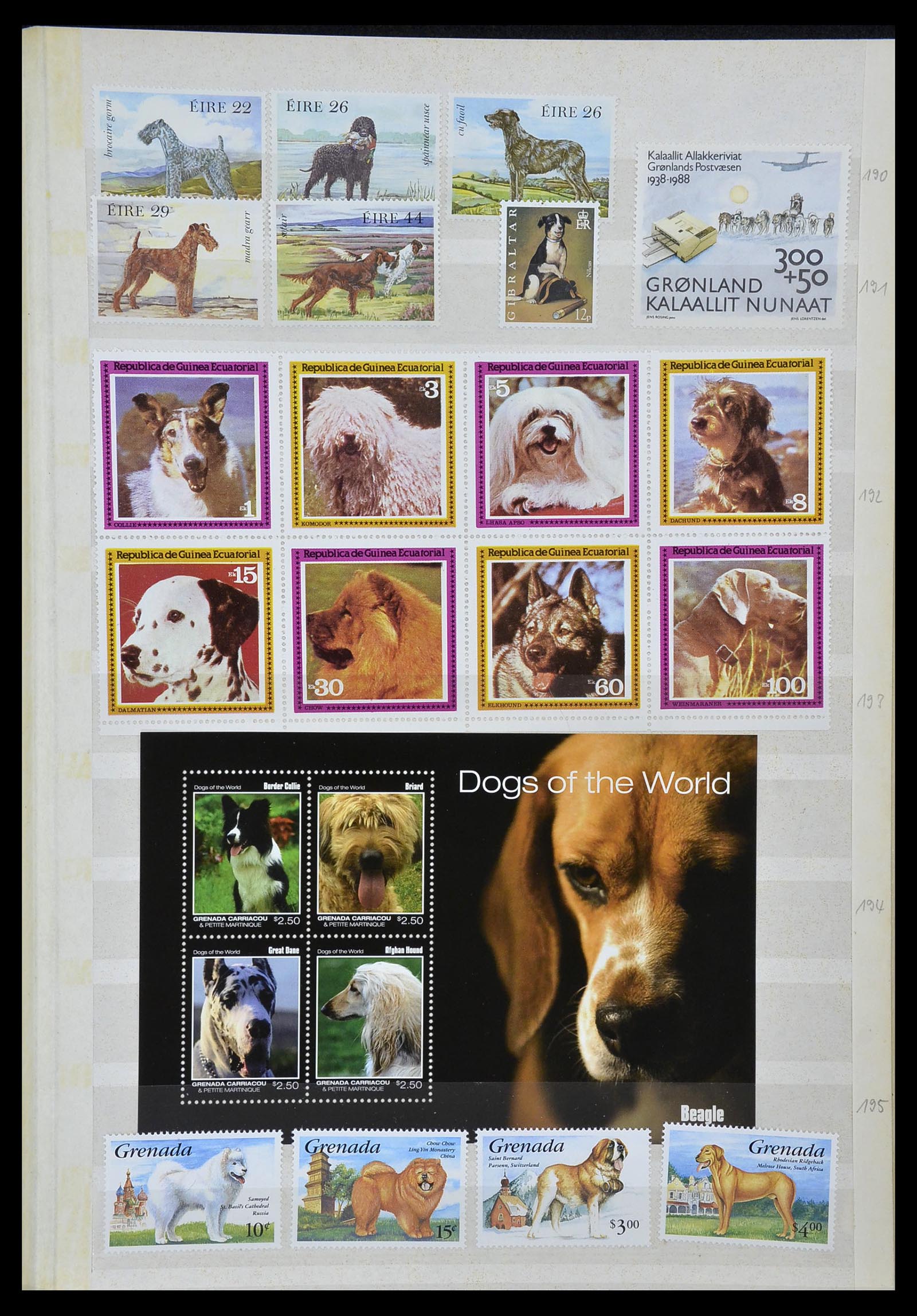 34410 015 - Postzegelverzameling 34410 Motief Honden 1965-2011.
