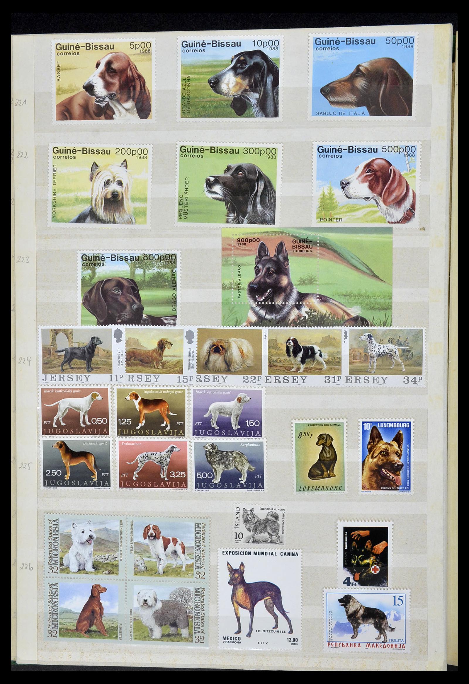 34410 020 - Postzegelverzameling 34410 Motief Honden 1965-2011.