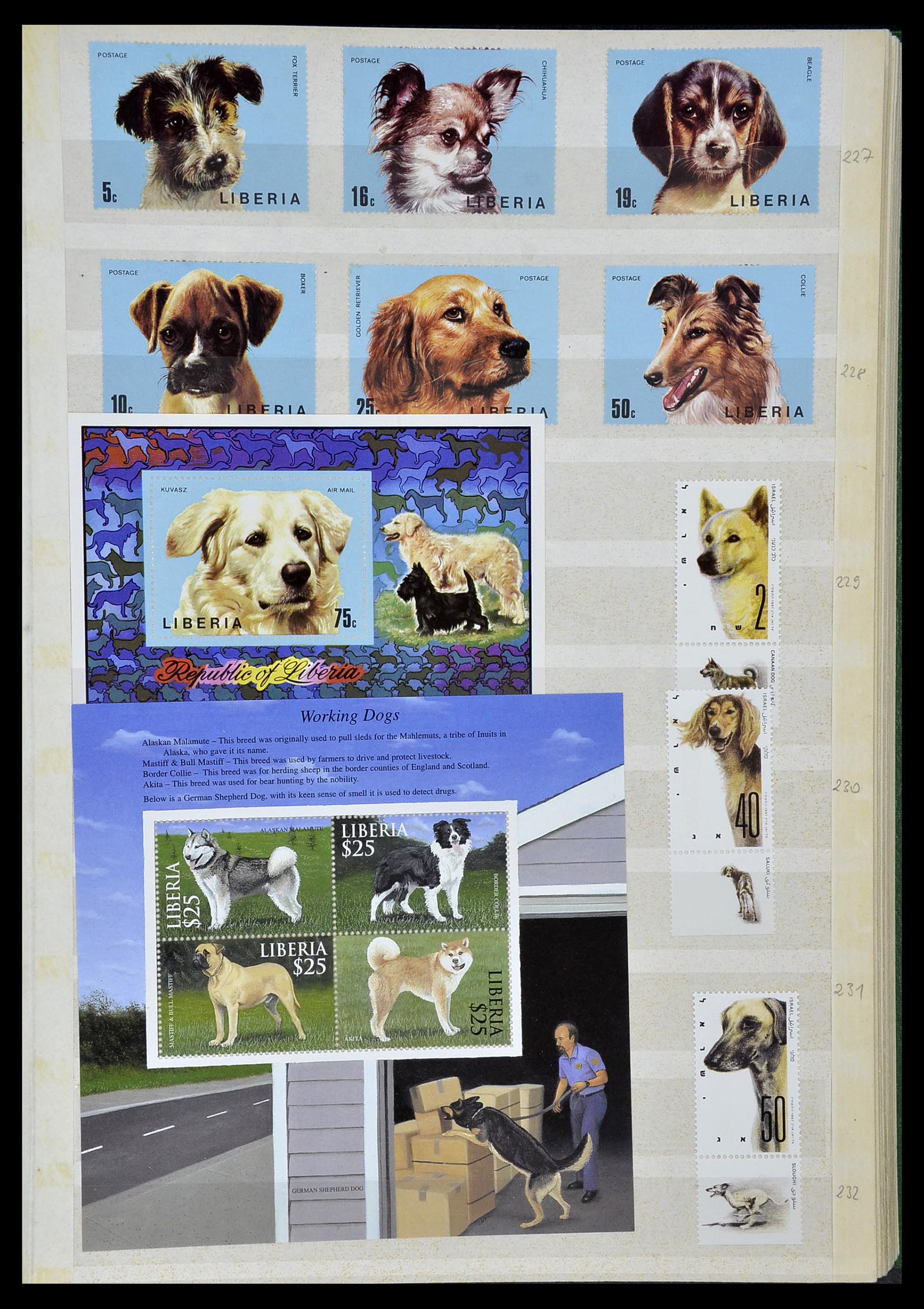 34410 021 - Postzegelverzameling 34410 Motief Honden 1965-2011.