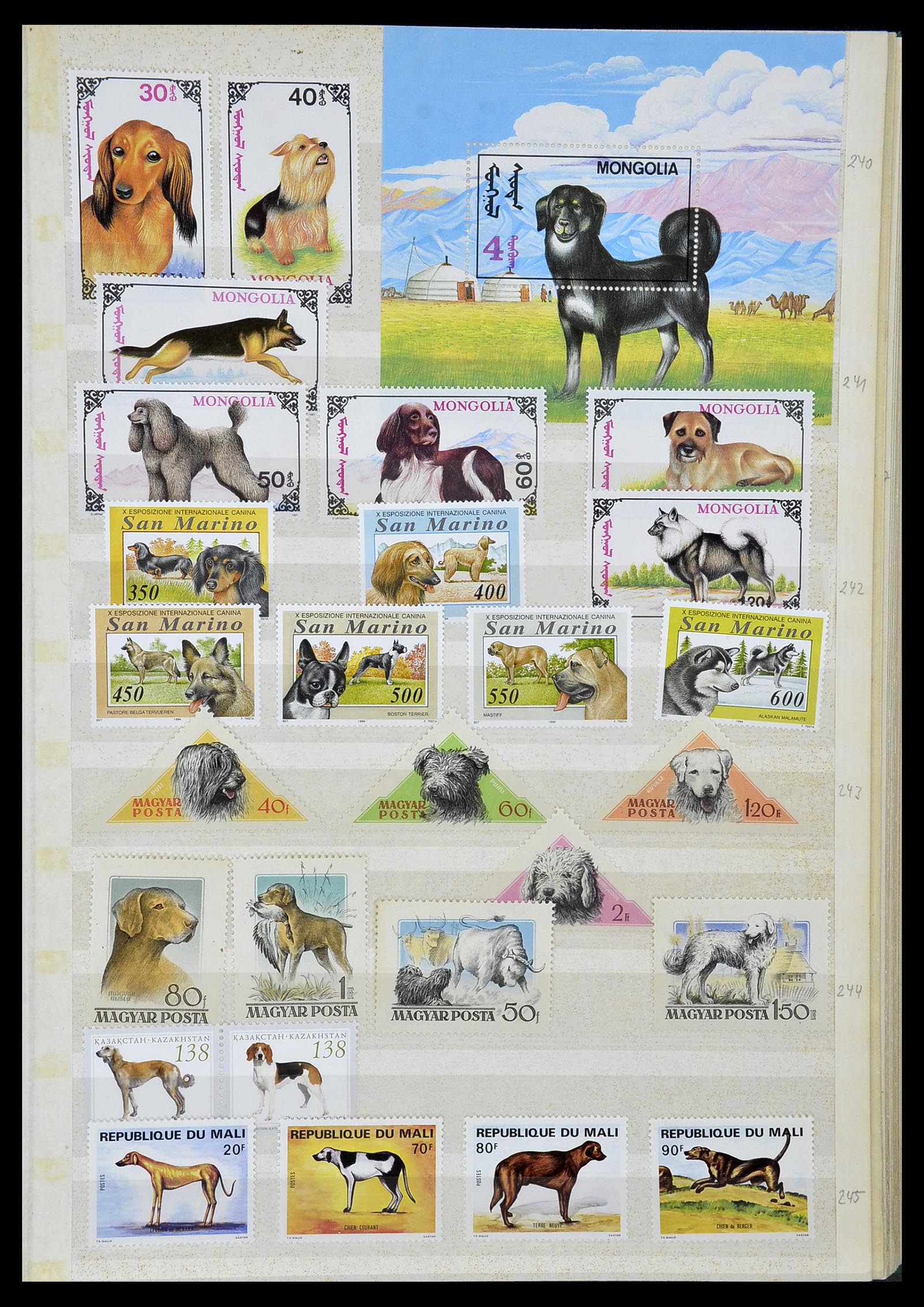 34410 023 - Postzegelverzameling 34410 Motief Honden 1965-2011.