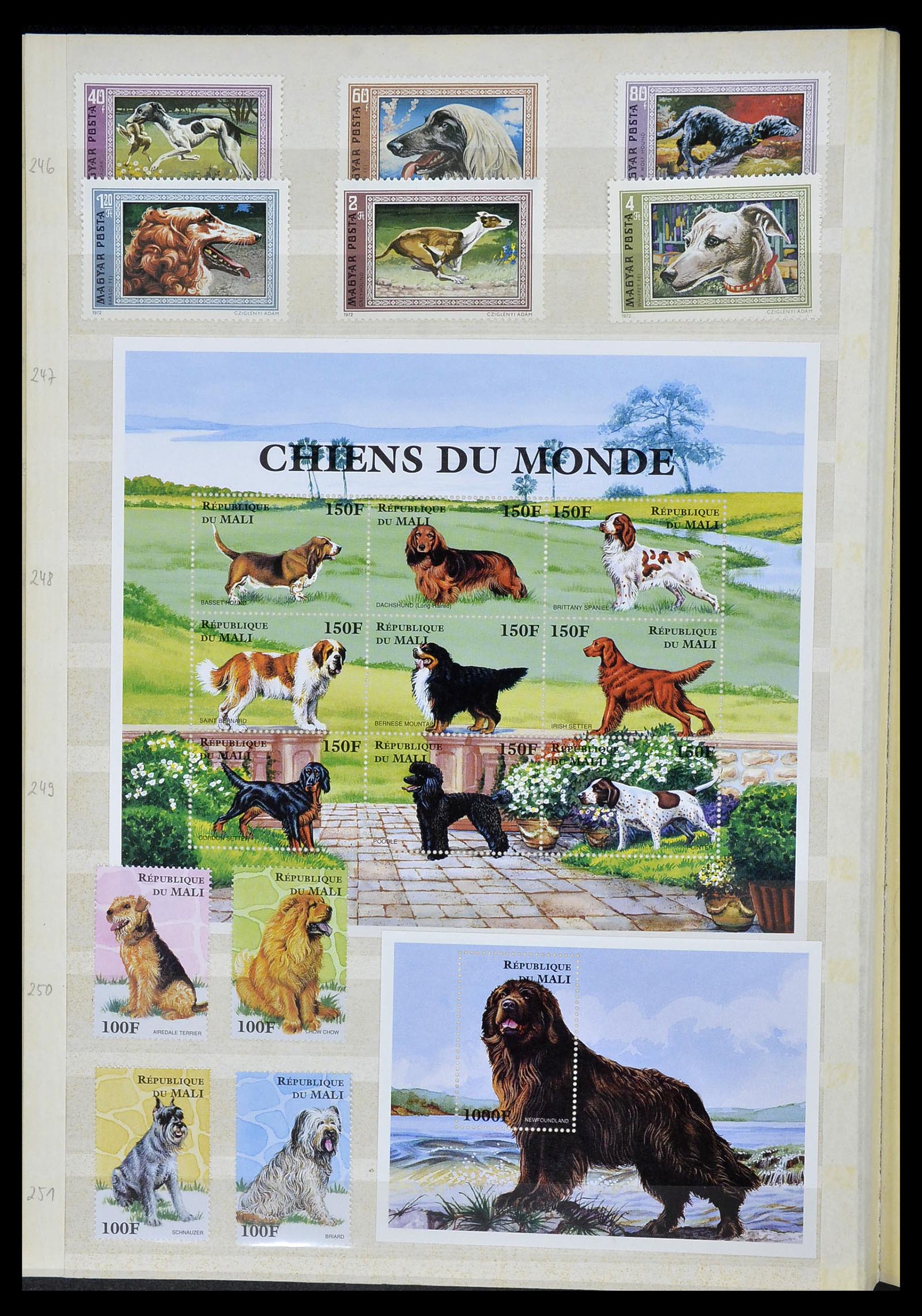34410 024 - Postzegelverzameling 34410 Motief Honden 1965-2011.