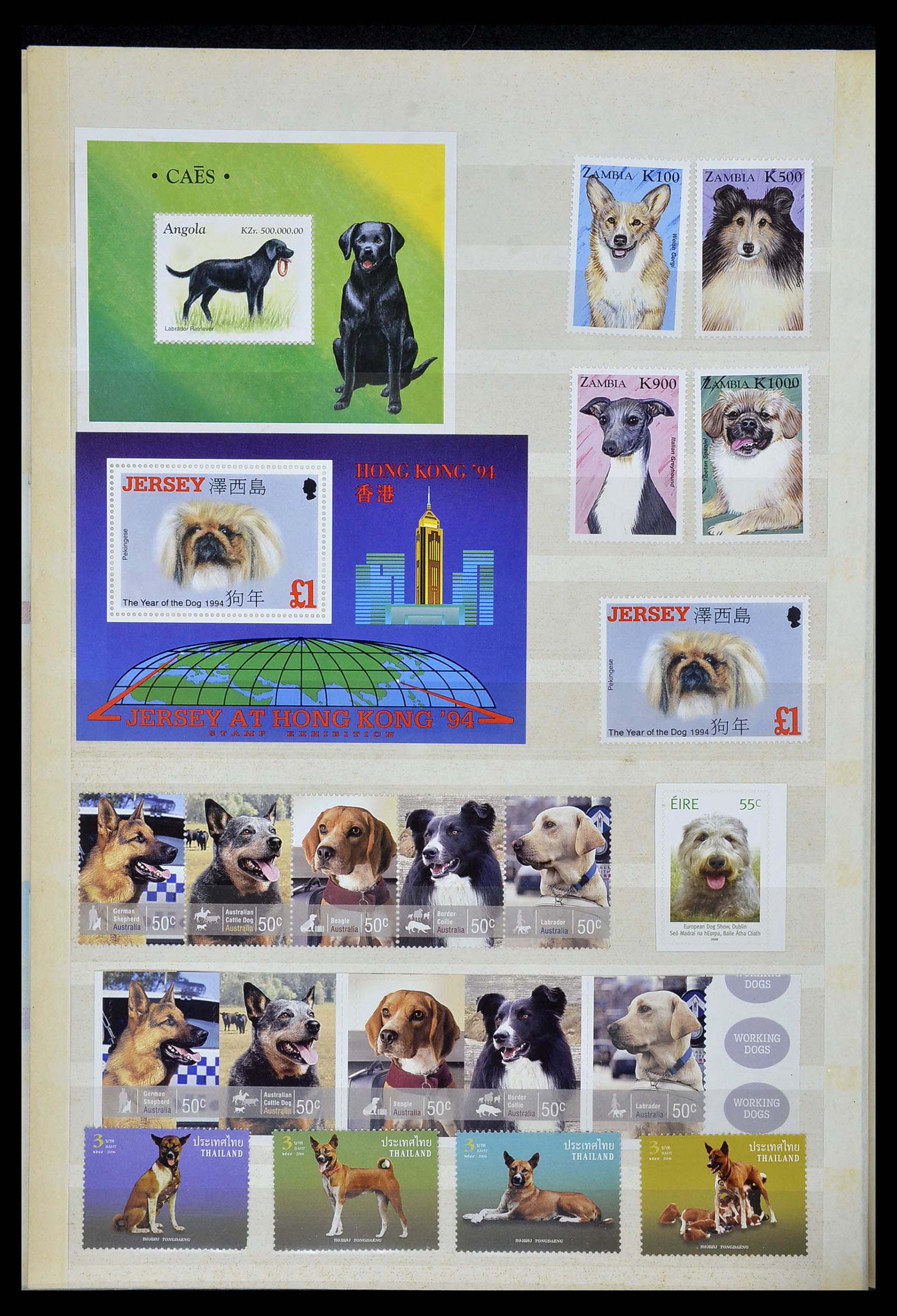 34410 042 - Postzegelverzameling 34410 Motief Honden 1965-2011.