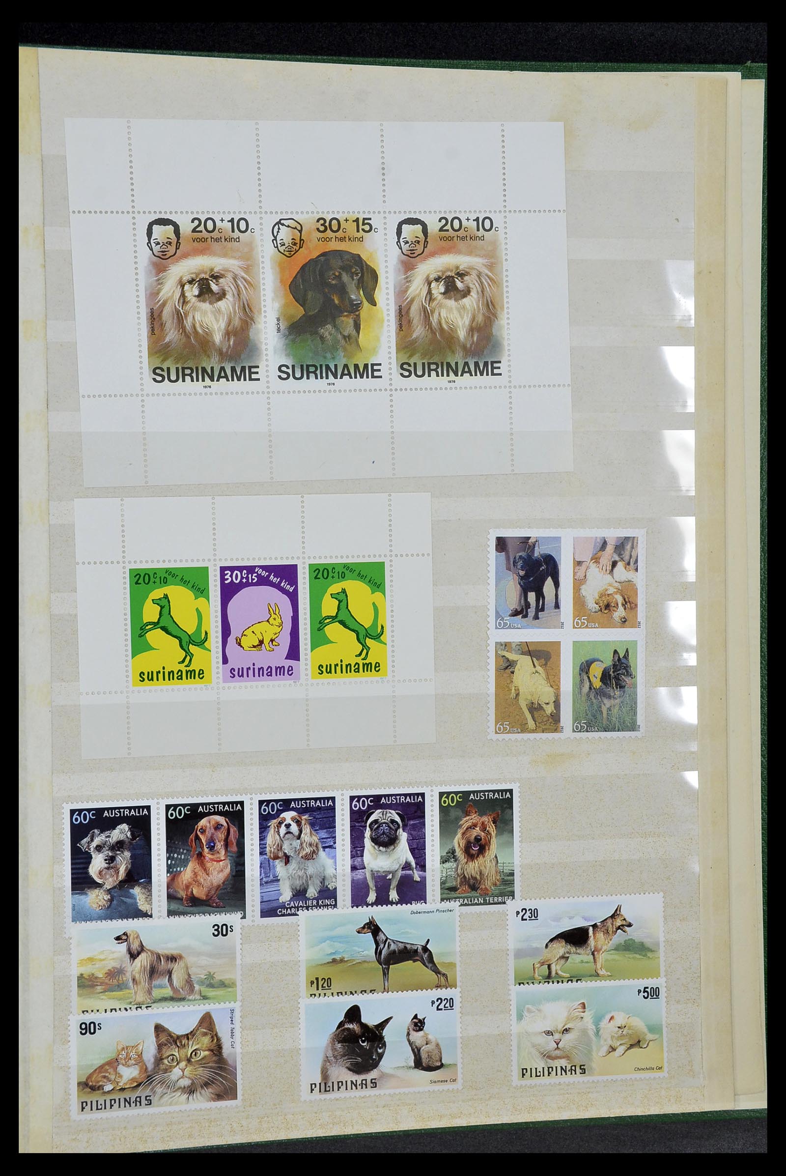 34410 047 - Postzegelverzameling 34410 Motief Honden 1965-2011.
