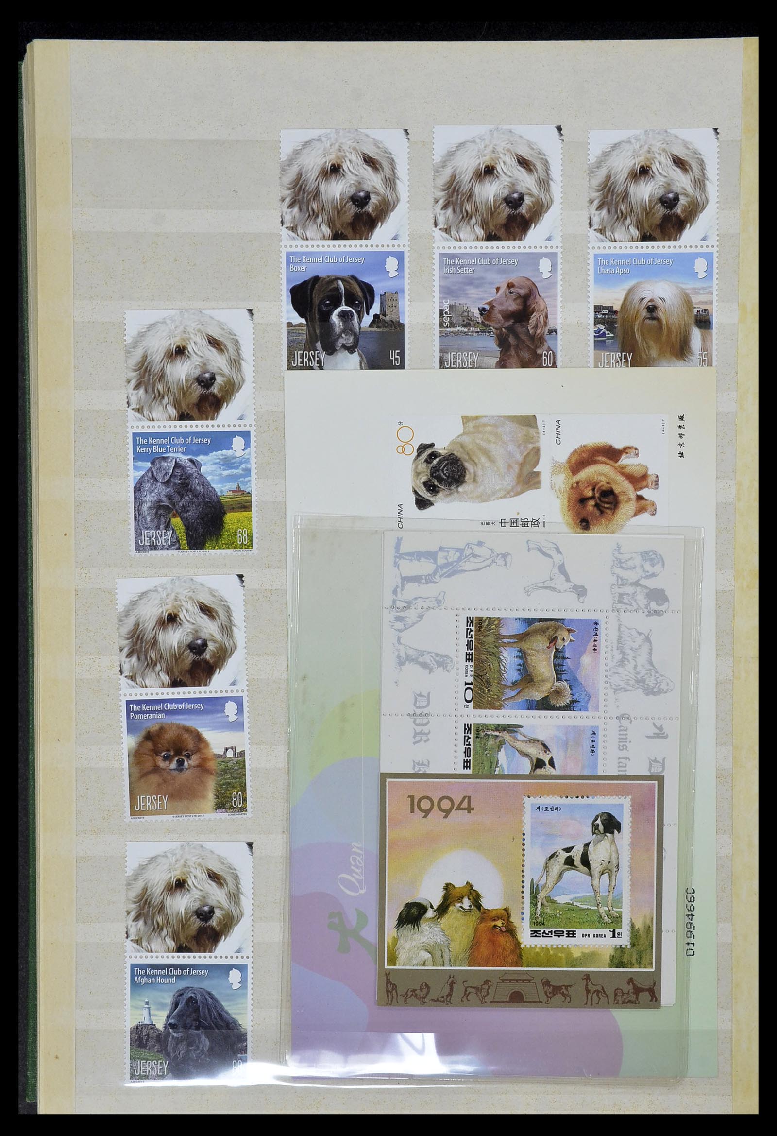 34410 048 - Postzegelverzameling 34410 Motief Honden 1965-2011.