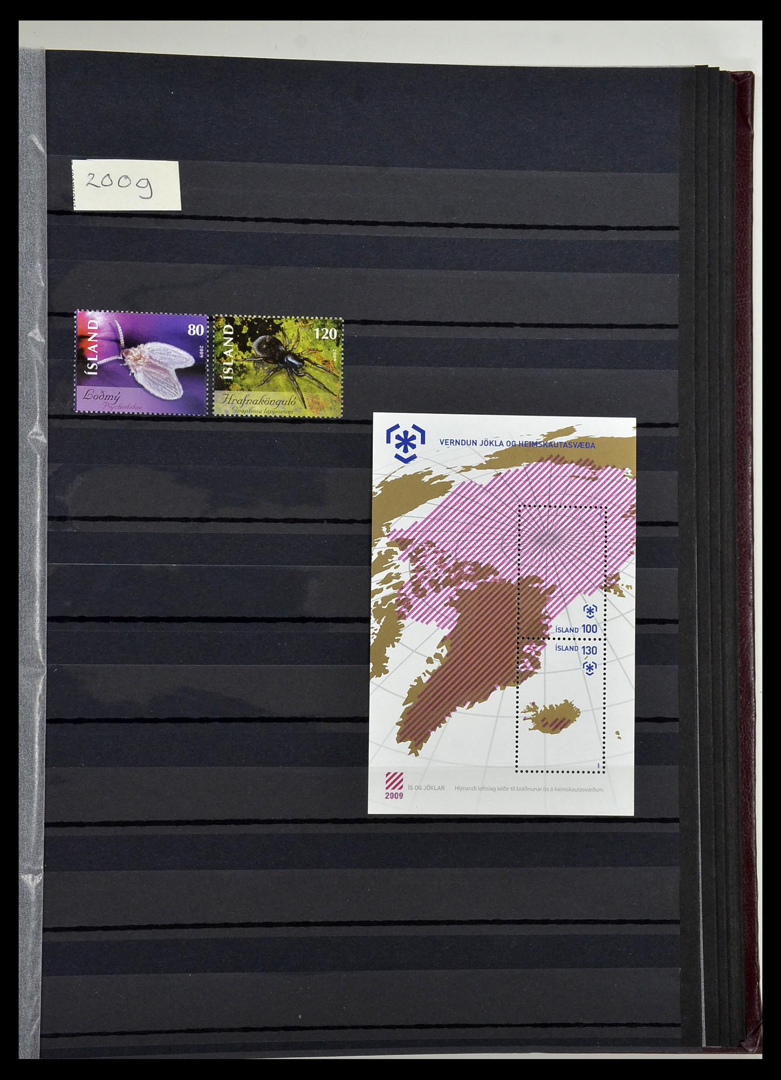 34447 118 - Postzegelverzameling 34447 IJsland 1876-2010.