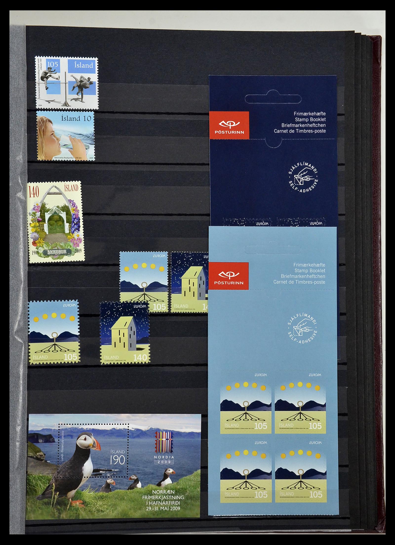 34447 119 - Postzegelverzameling 34447 IJsland 1876-2010.
