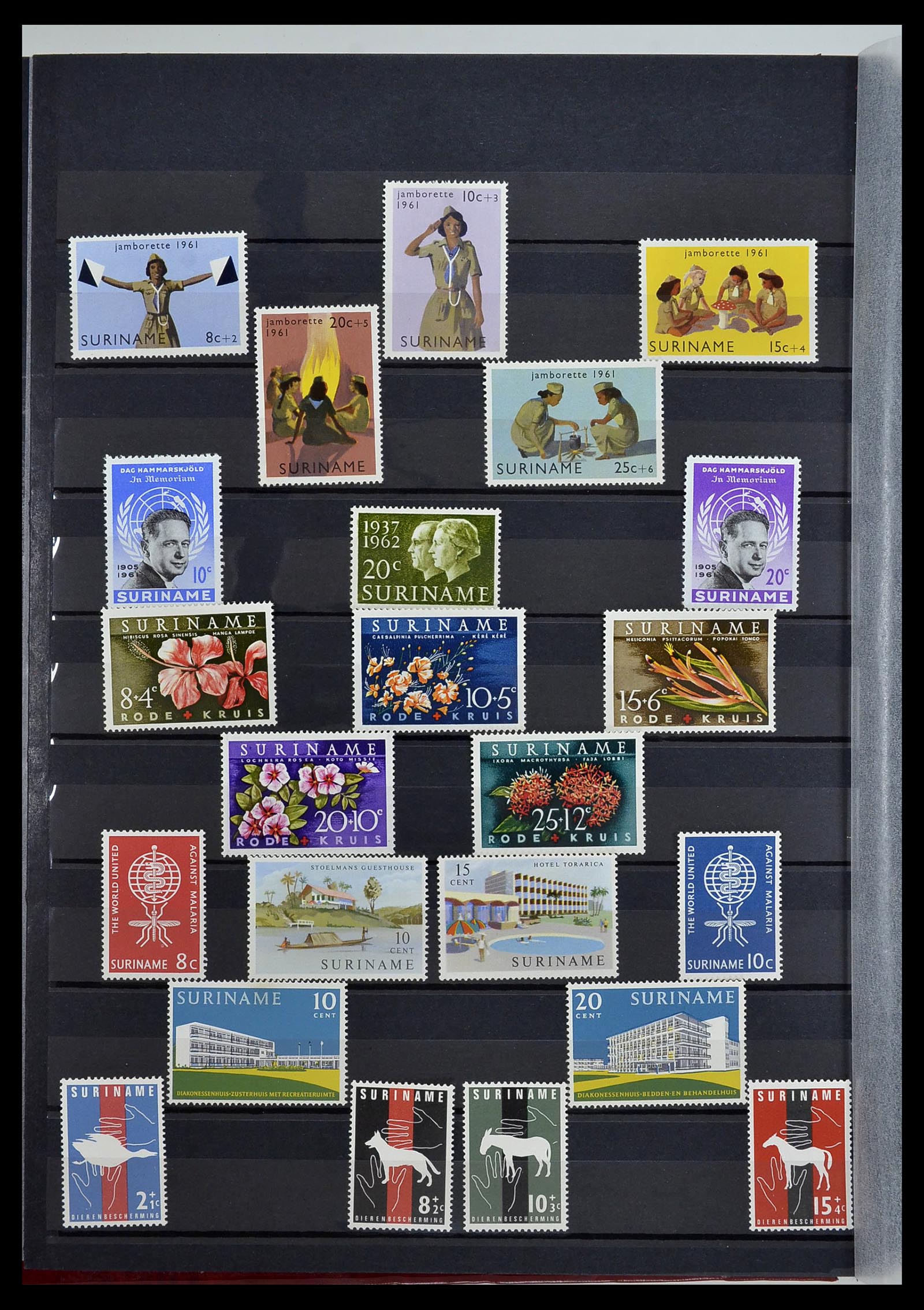 34454 044 - Postzegelverzameling 34454 Suriname en Nederlands Indië 1864-1975.