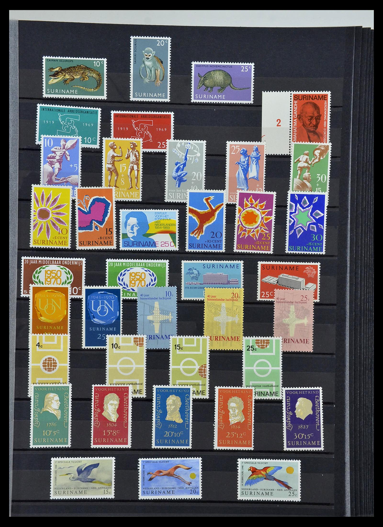 34454 049 - Postzegelverzameling 34454 Suriname en Nederlands Indië 1864-1975.