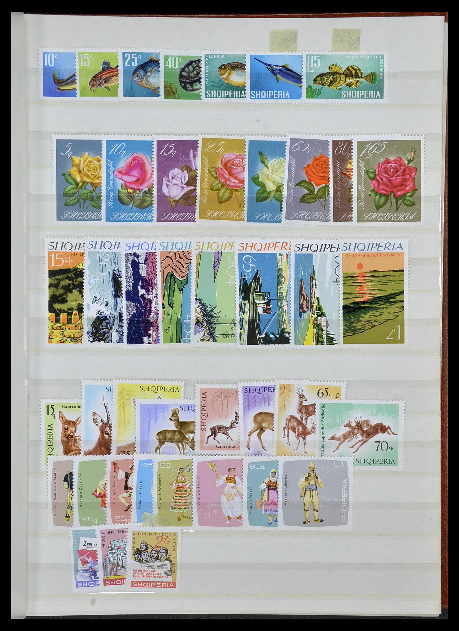34483 011 - Postzegelverzameling 34483 Albanië 1913-1980.