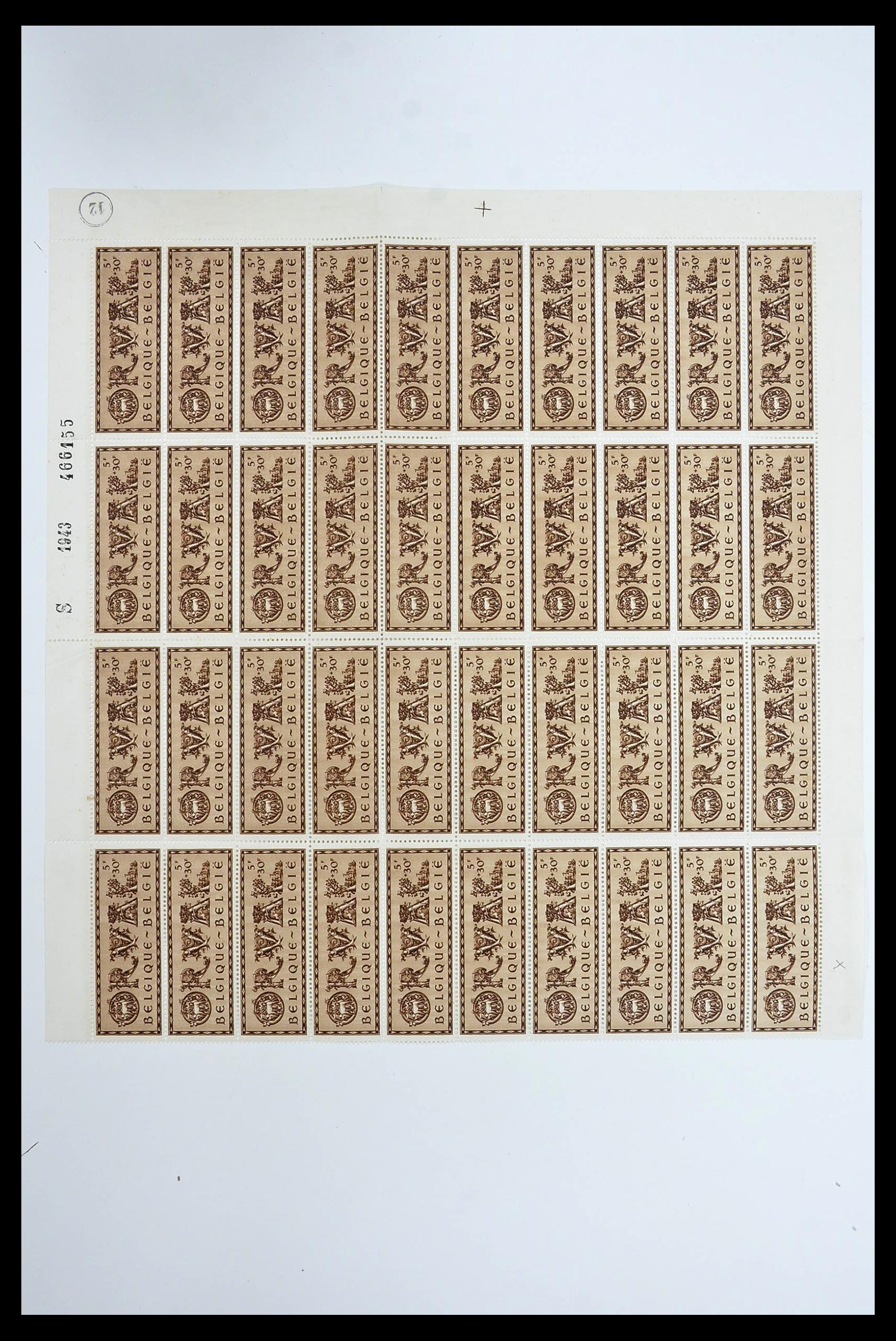 34487 025 - Postzegelverzameling 34487 België postfris 1914-1951.