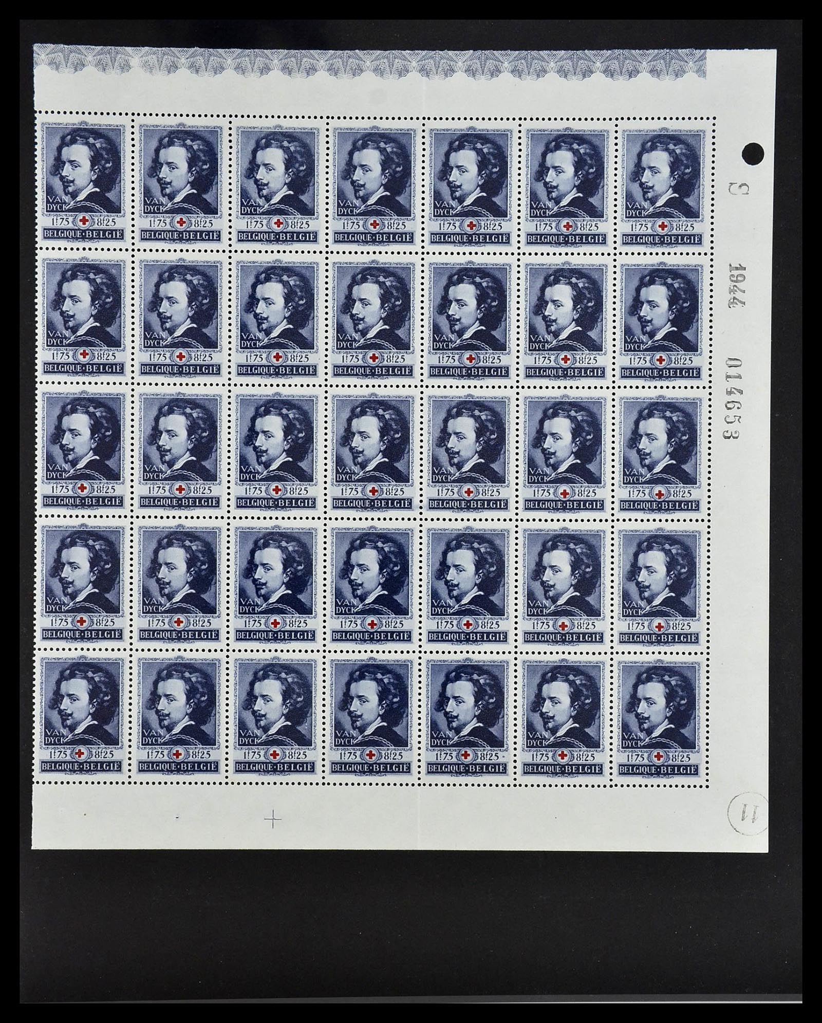 34487 032 - Postzegelverzameling 34487 België postfris 1914-1951.