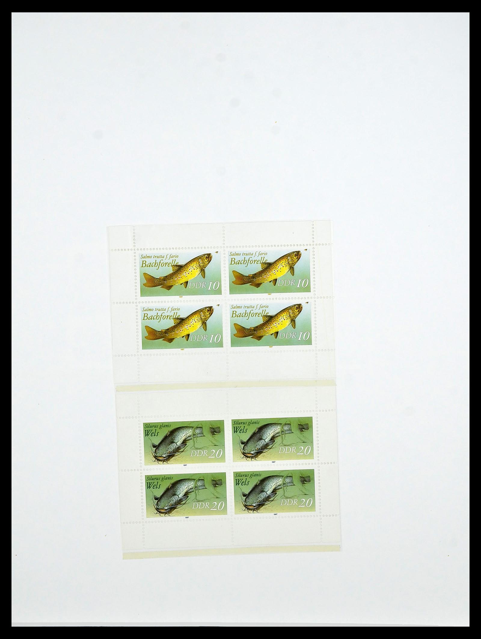 34489 247 - Postzegelverzameling 34489 DDR 1949-1990.
