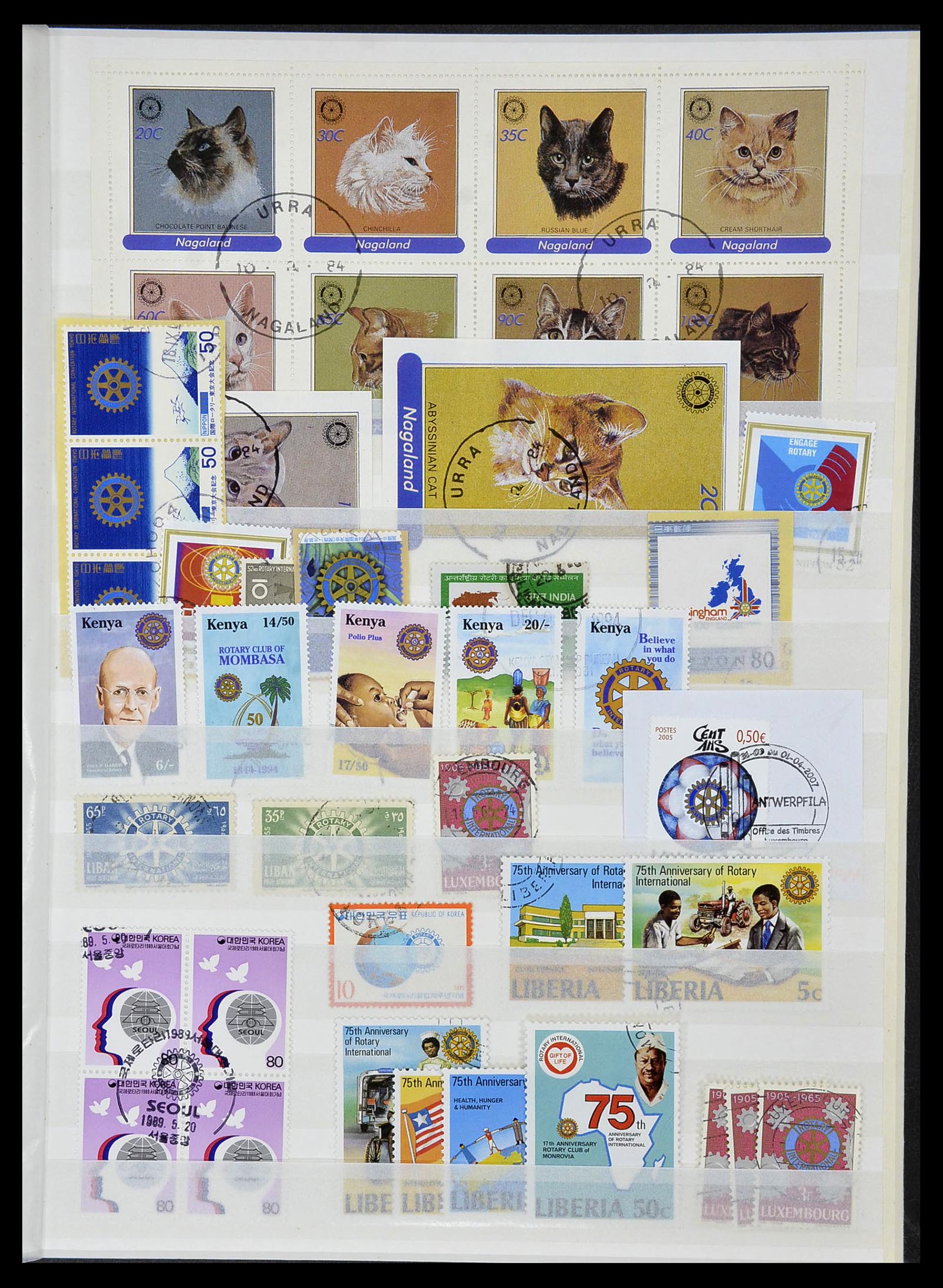 34499 016 - Postzegelverzameling 34499 Motief Rotary 1931-2011.