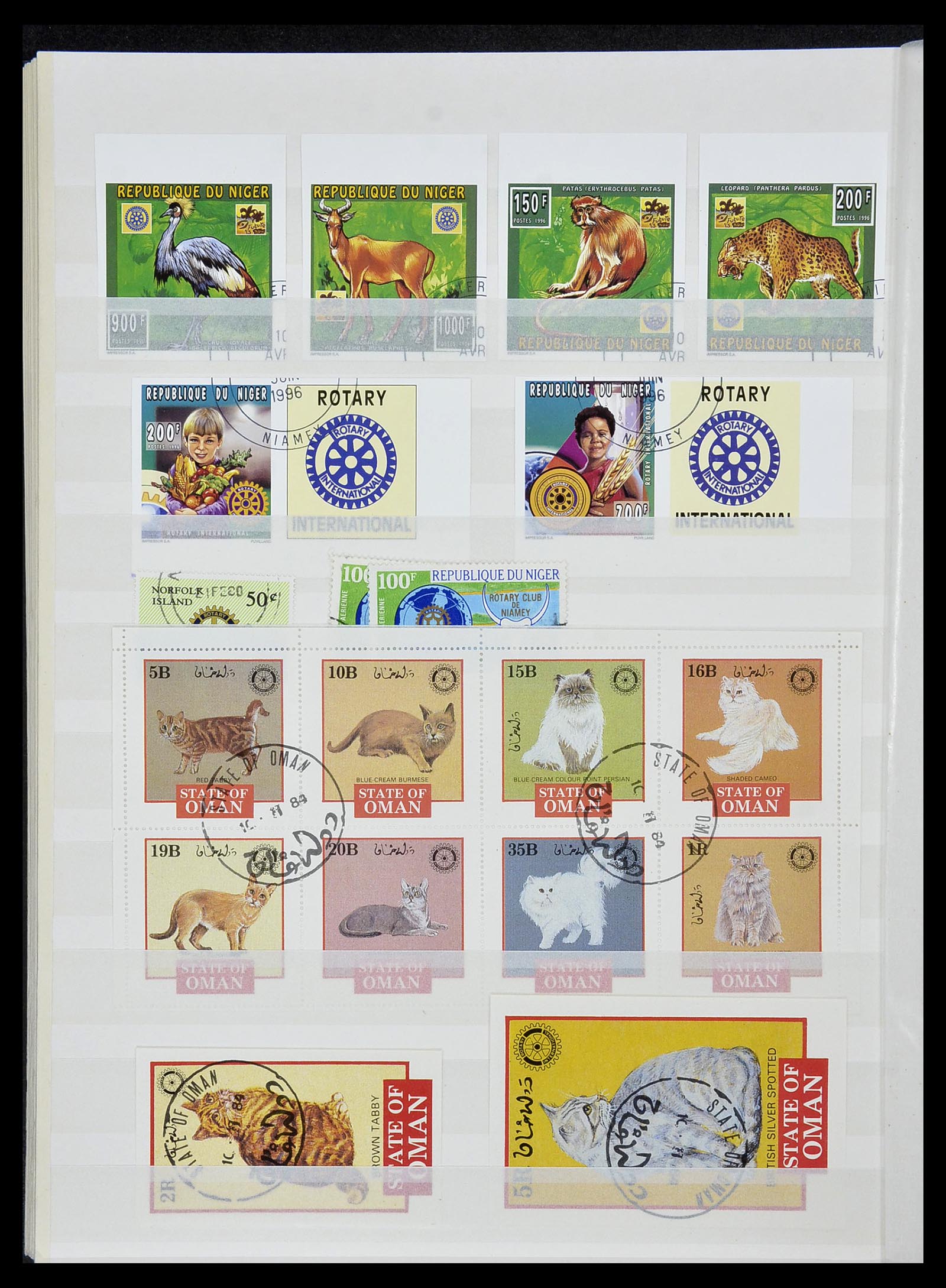 34499 019 - Postzegelverzameling 34499 Motief Rotary 1931-2011.