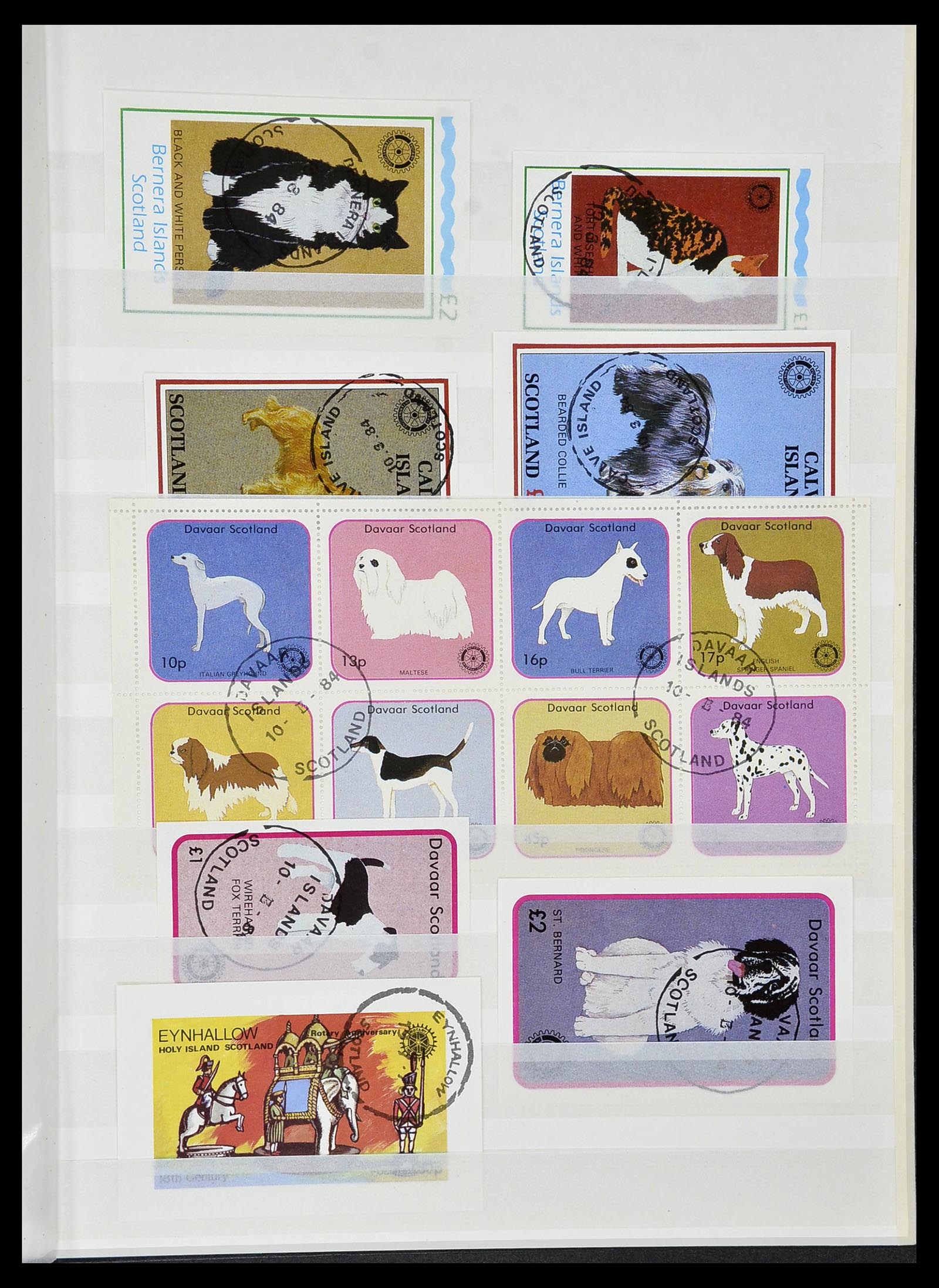 34499 028 - Postzegelverzameling 34499 Motief Rotary 1931-2011.