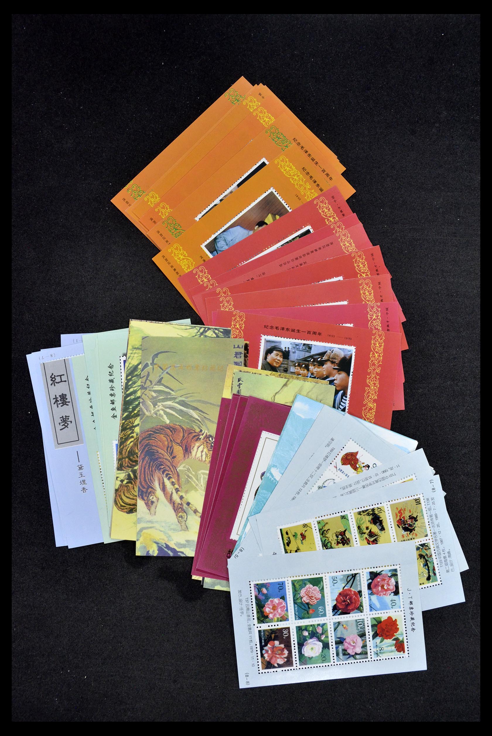 34503 008 - Postzegelverzameling 34503 China blokken.
