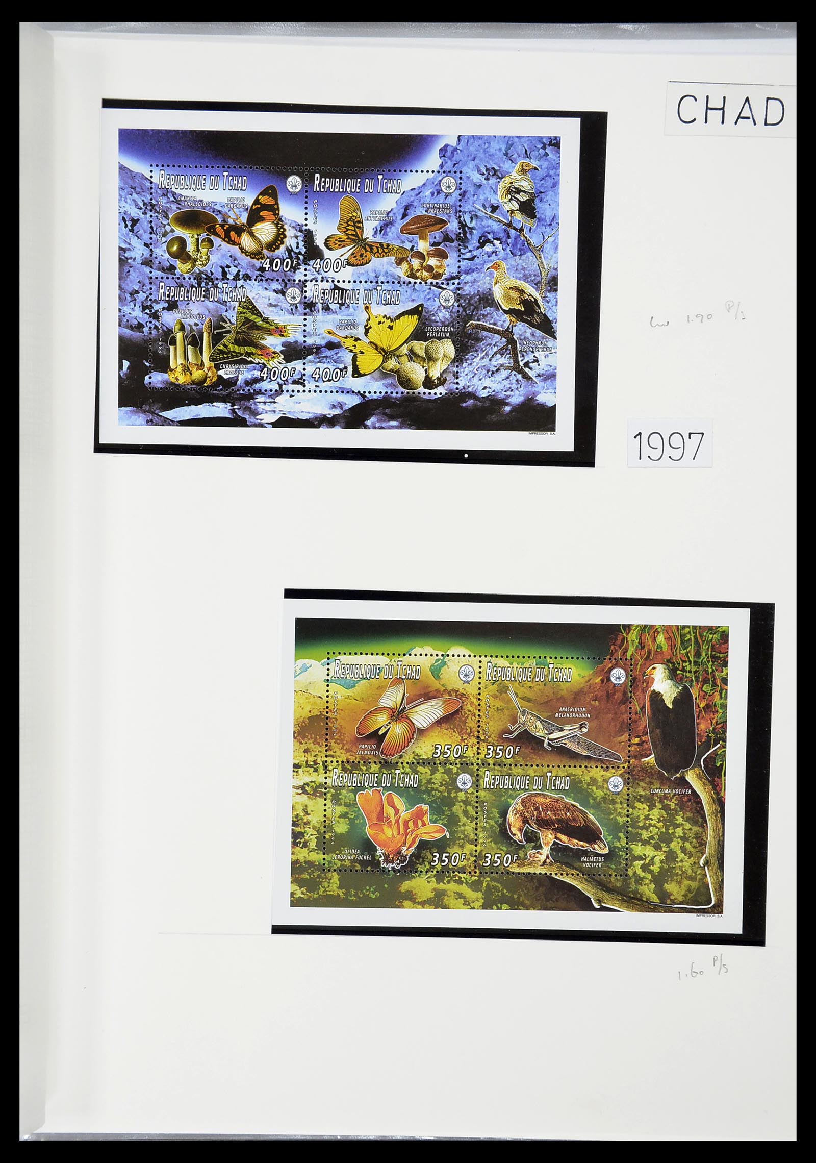 34516 008 - Postzegelverzameling 34516 Motief Scouting 1931-2007.