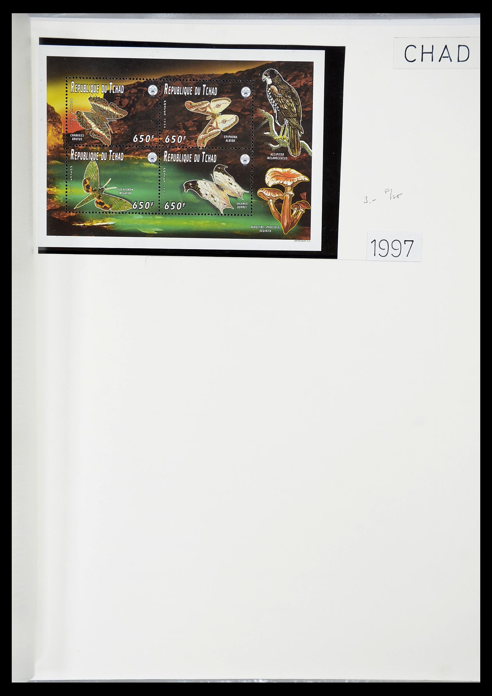 34516 009 - Postzegelverzameling 34516 Motief Scouting 1931-2007.