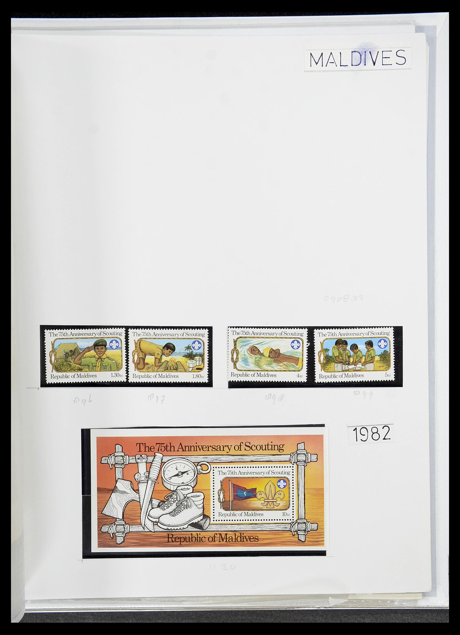 34516 100 - Postzegelverzameling 34516 Motief Scouting 1931-2007.
