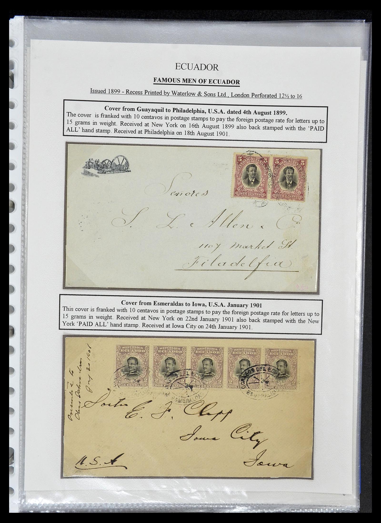 34523 007 - Postzegelverzameling 34523 Ecuador 1899-1952.