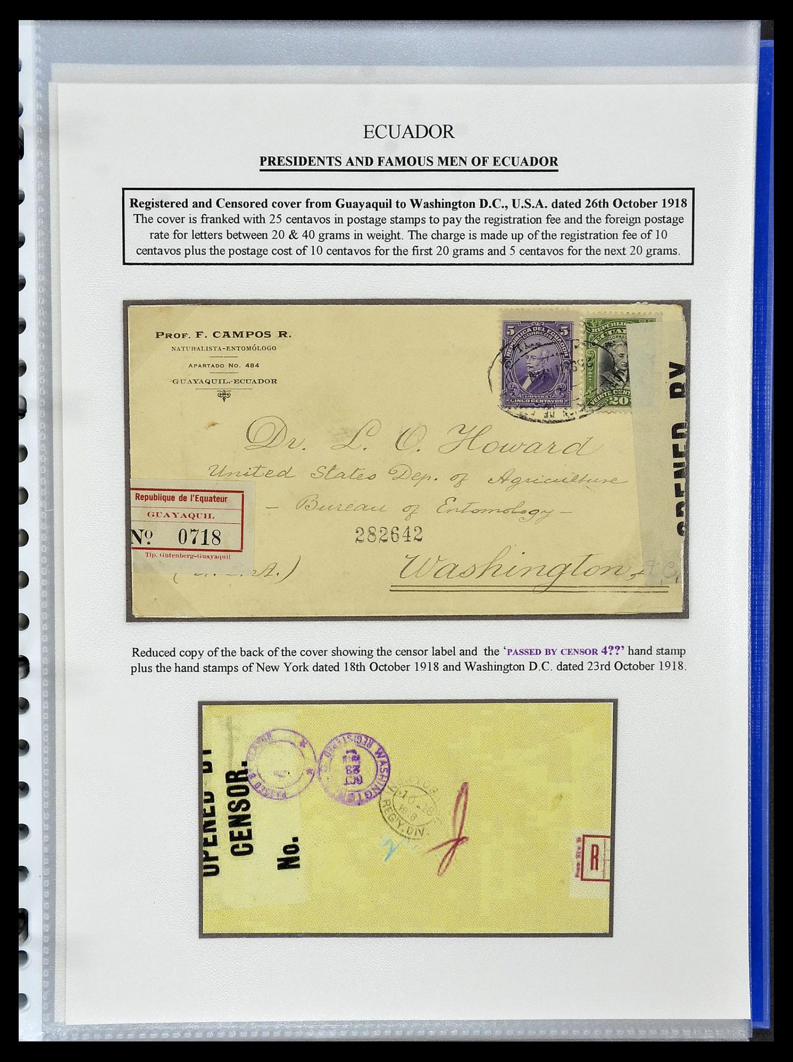 34523 032 - Postzegelverzameling 34523 Ecuador 1899-1952.