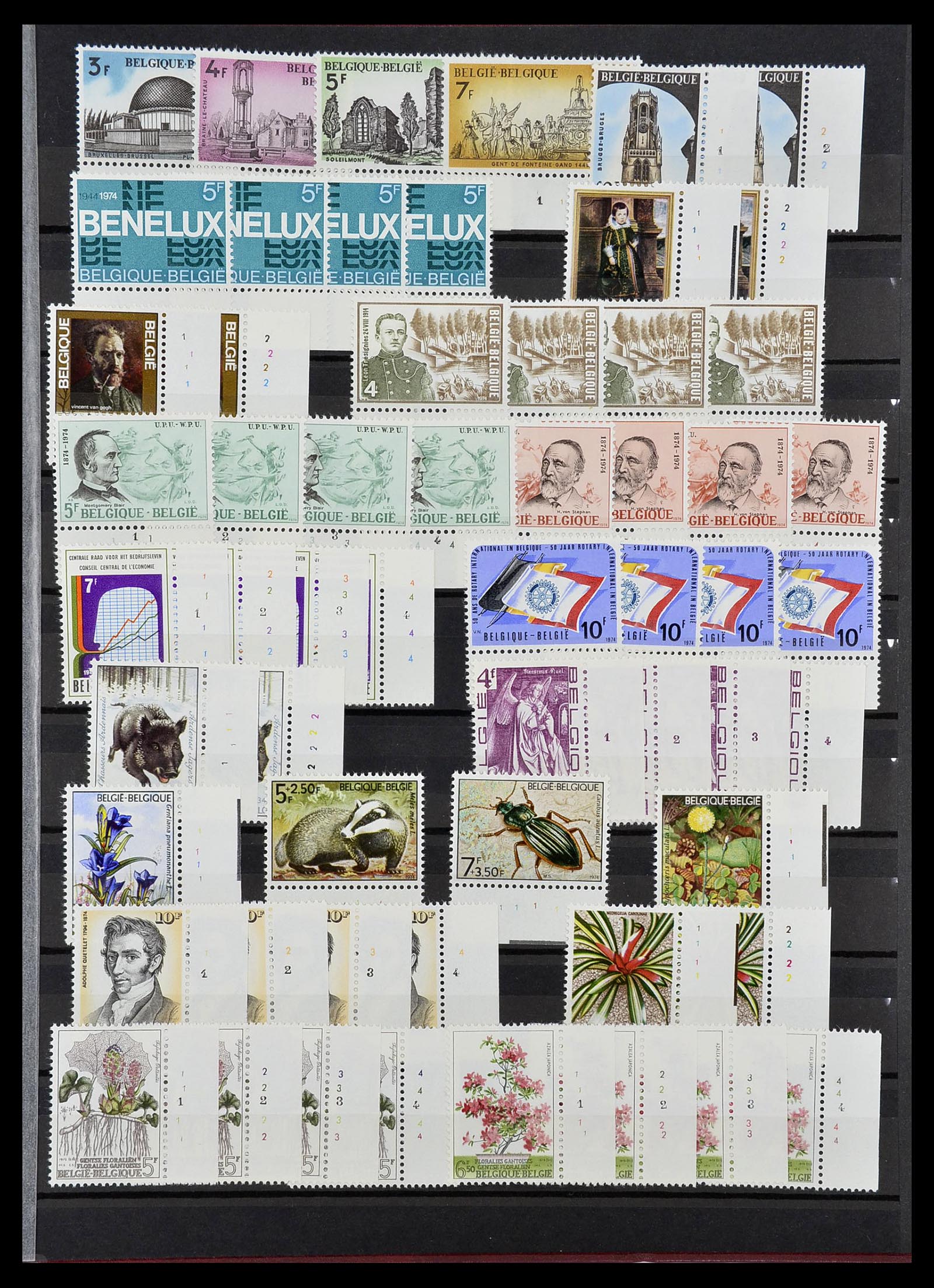 34524 013 - Postzegelverzameling 34524 België plaat en etsingnummers 1963-1990.