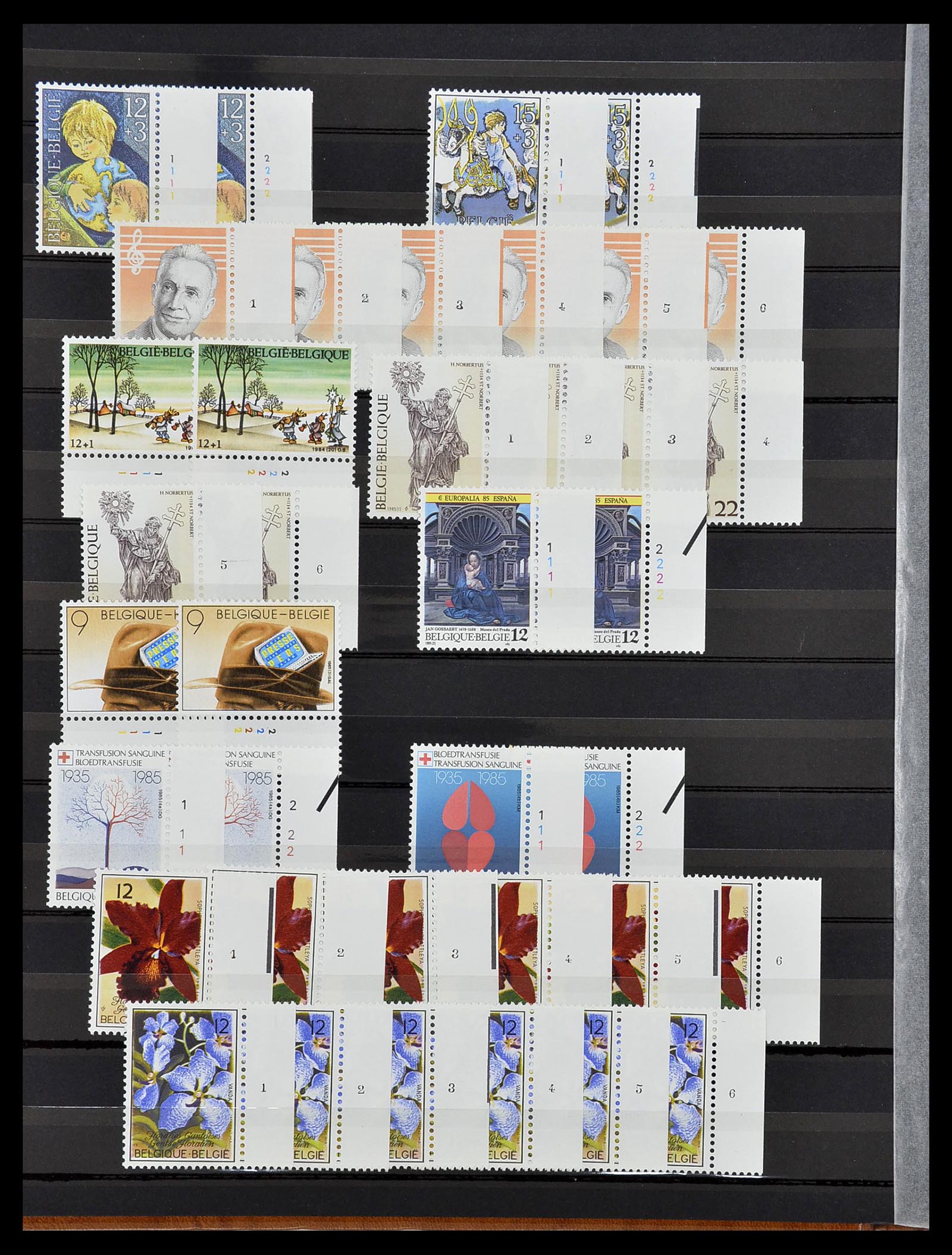 34524 036 - Postzegelverzameling 34524 België plaat en etsingnummers 1963-1990.