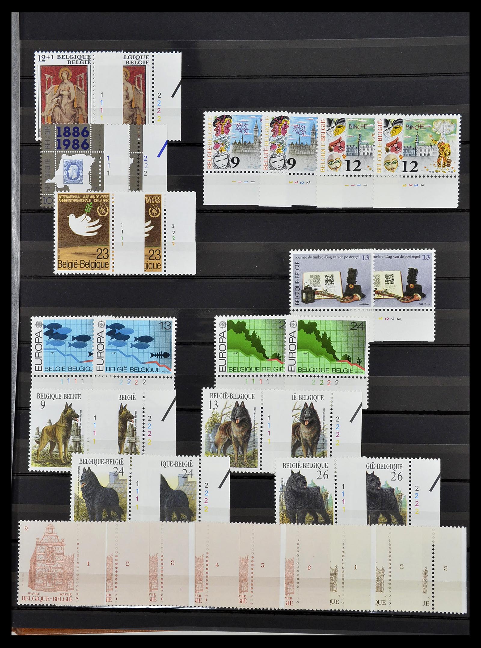 34524 039 - Postzegelverzameling 34524 België plaat en etsingnummers 1963-1990.