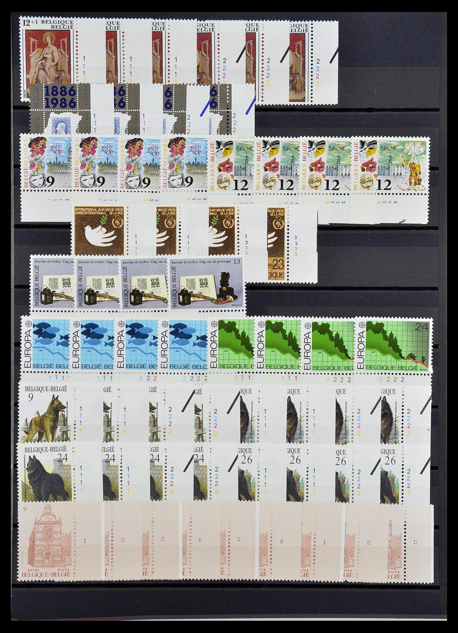 34524 067 - Postzegelverzameling 34524 België plaat en etsingnummers 1963-1990.