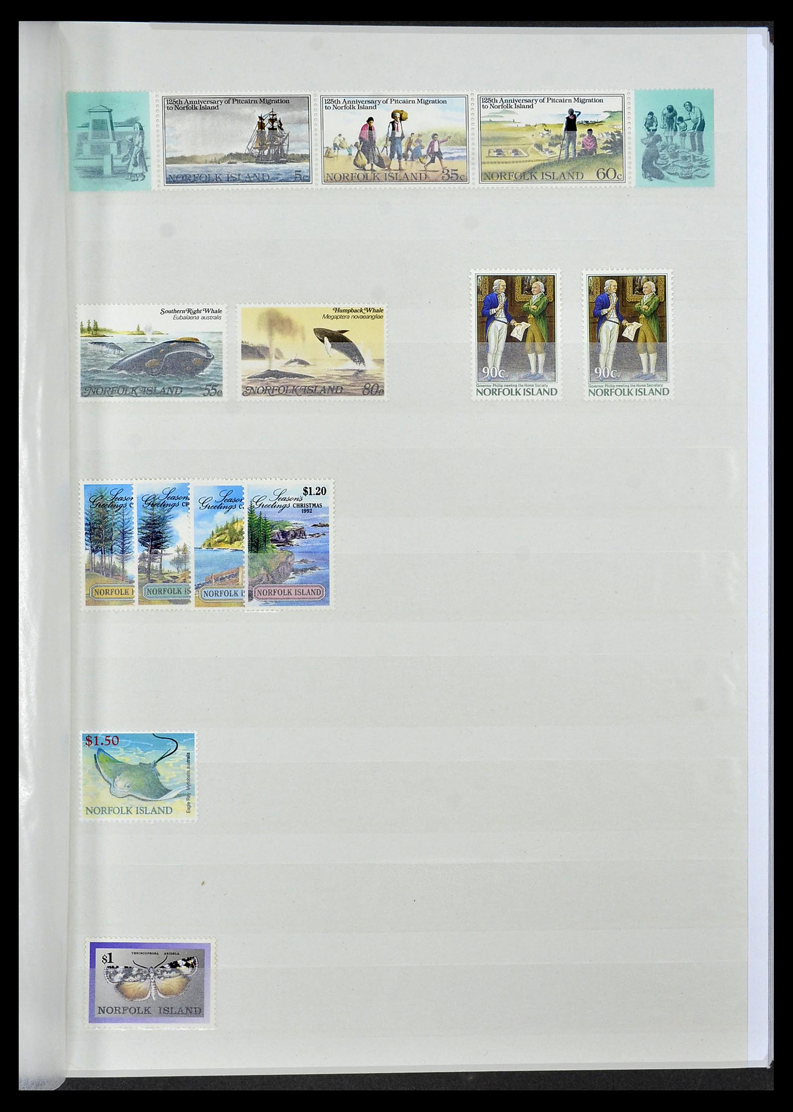 34528 031 - Stamp Collection 34528 British Commonwealth/thematics 1952-2015!
