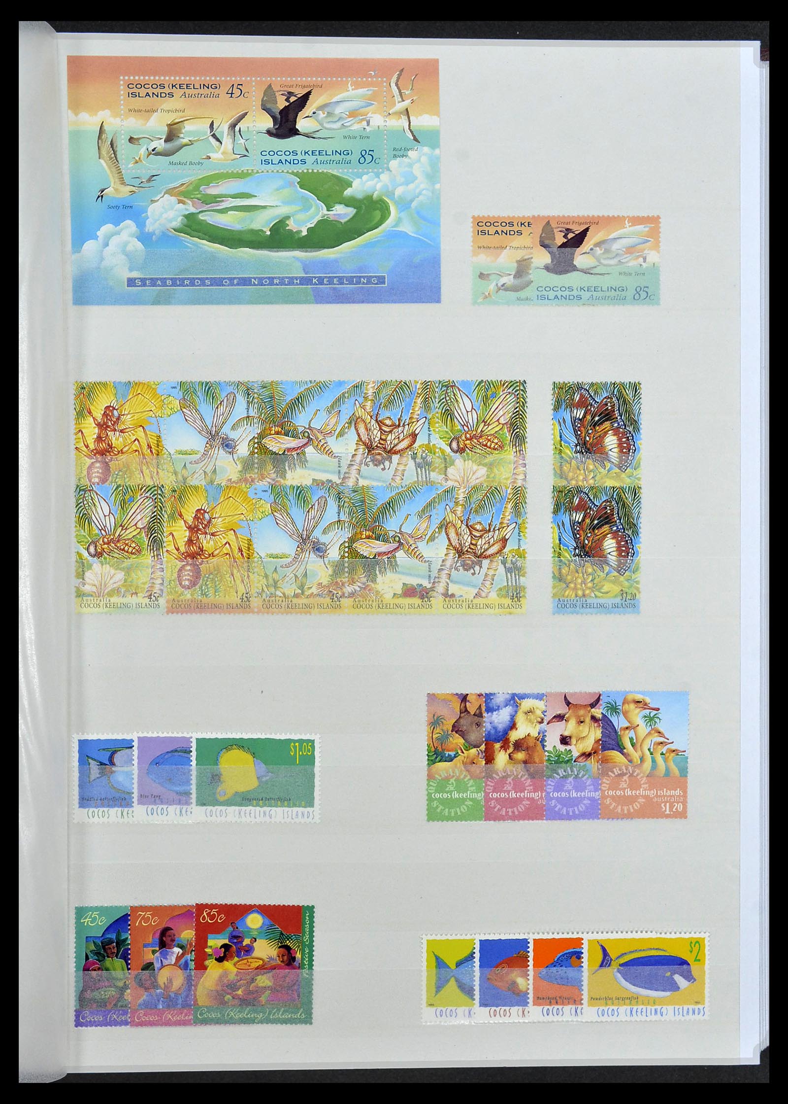 34528 084 - Stamp Collection 34528 British Commonwealth/thematics 1952-2015!
