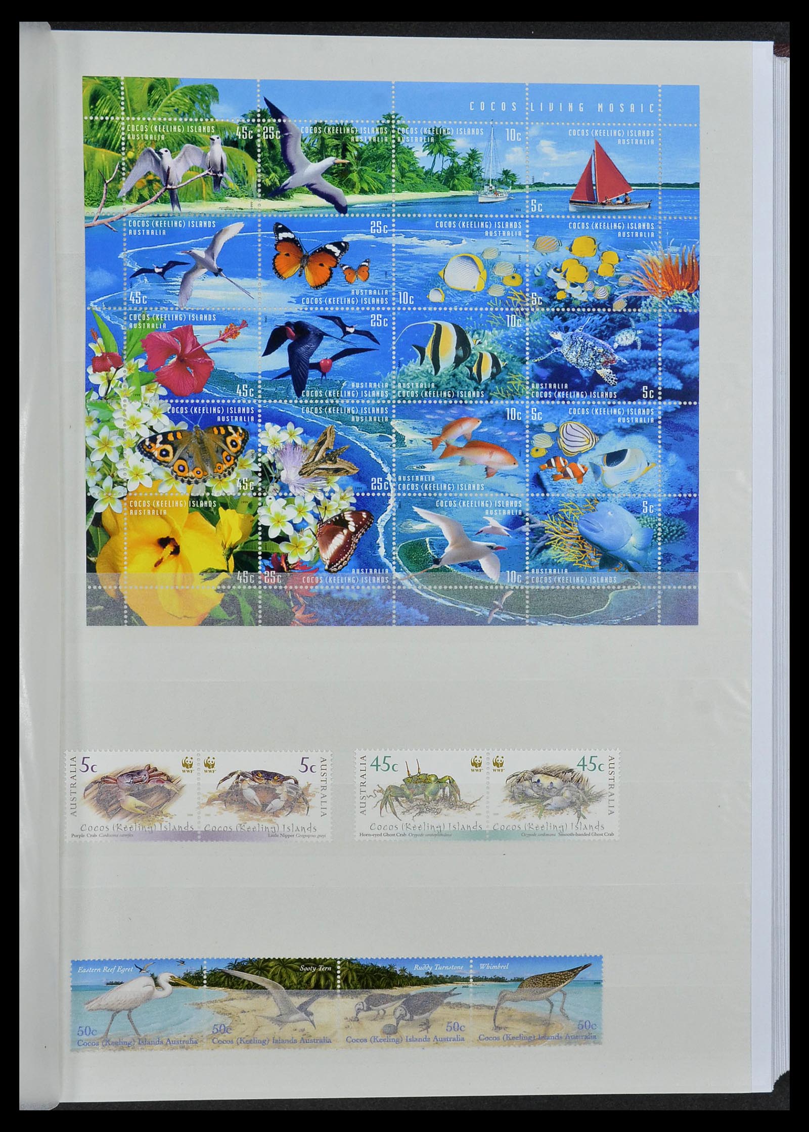 34528 086 - Stamp Collection 34528 British Commonwealth/thematics 1952-2015!