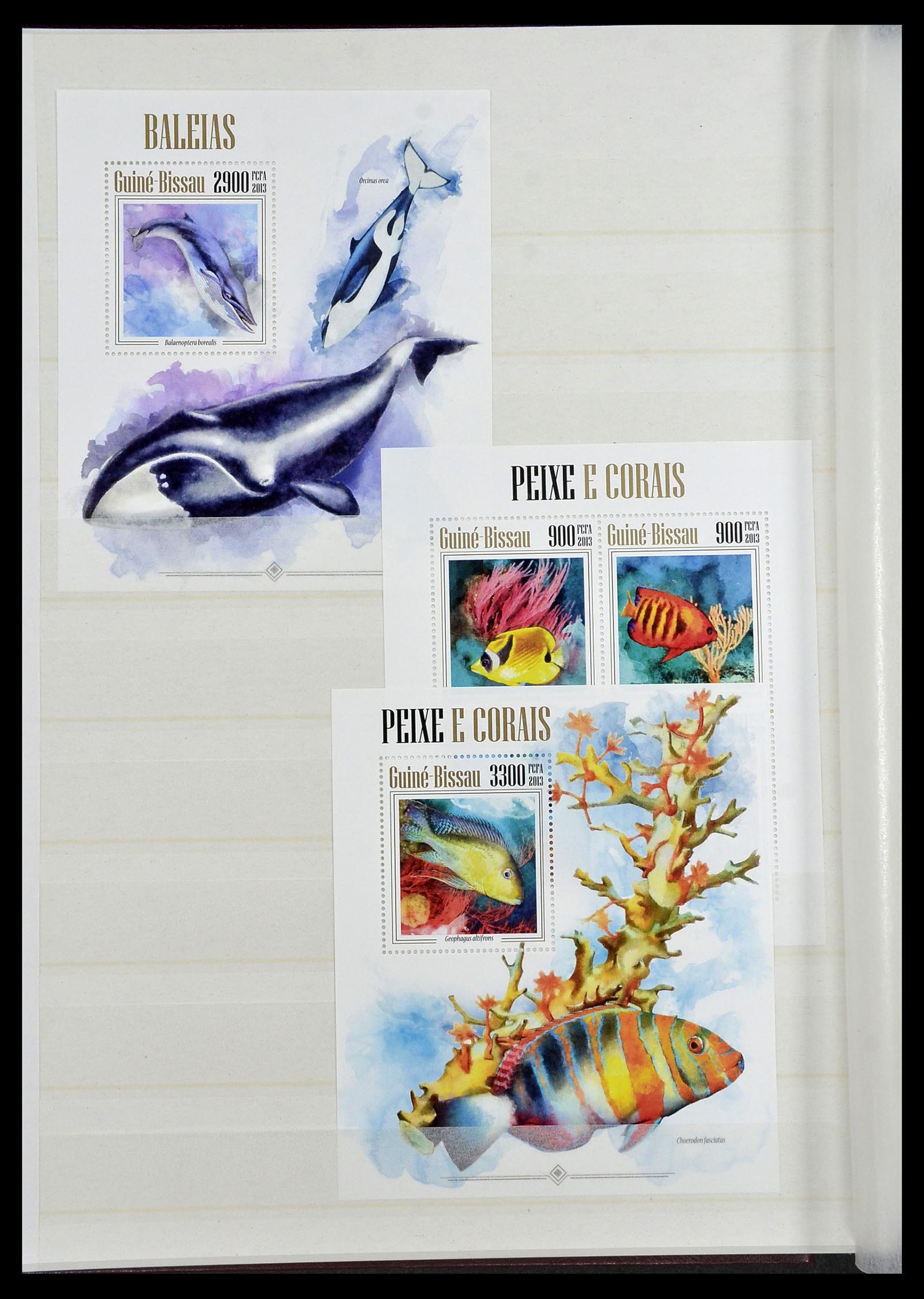 34528 203 - Stamp Collection 34528 British Commonwealth/thematics 1952-2015!