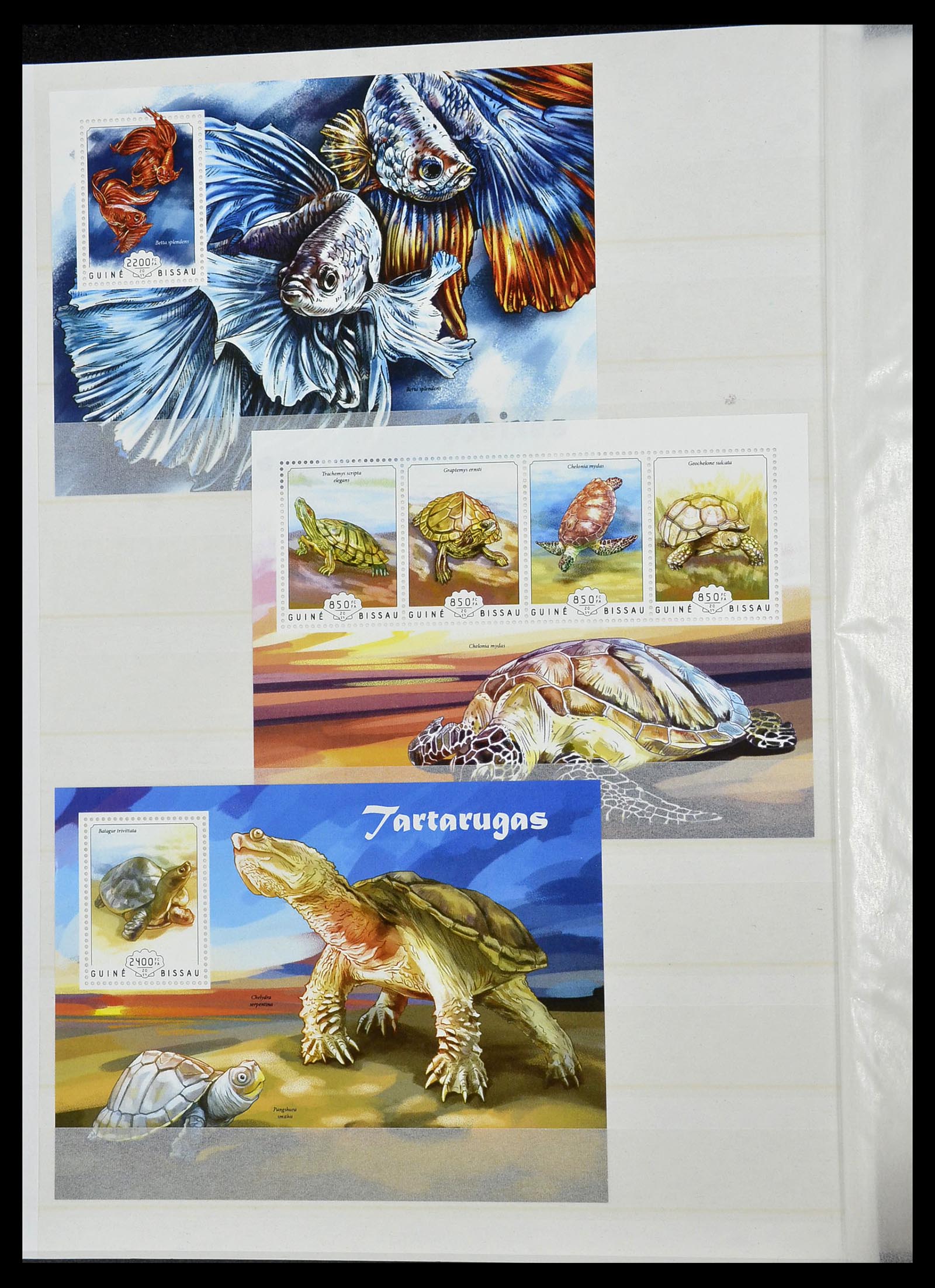 34528 204 - Stamp Collection 34528 British Commonwealth/thematics 1952-2015!