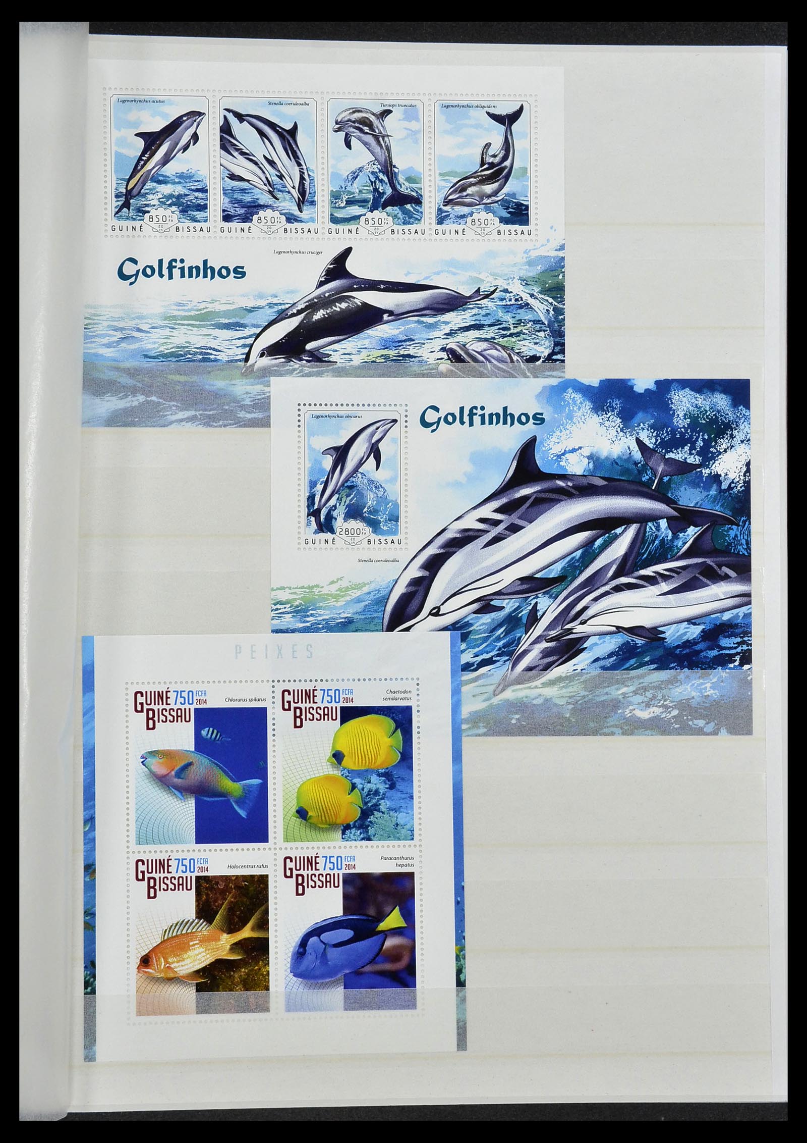 34528 205 - Stamp Collection 34528 British Commonwealth/thematics 1952-2015!