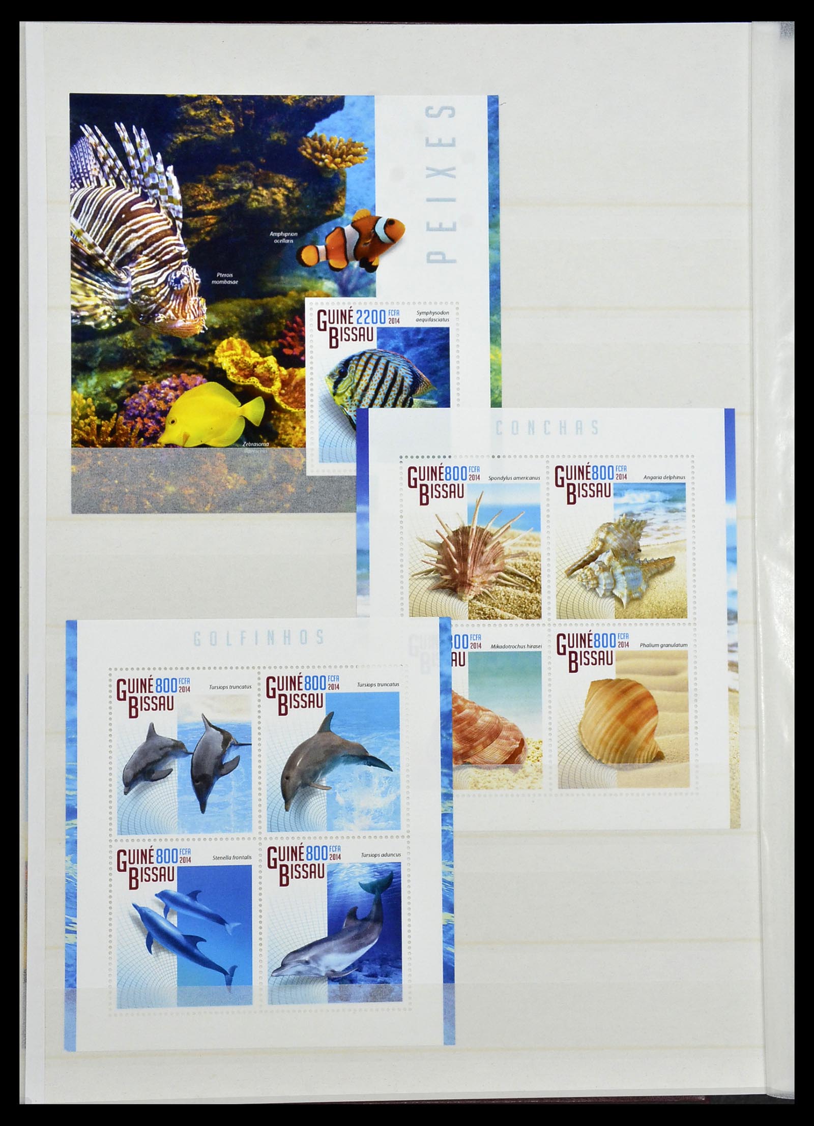 34528 206 - Stamp Collection 34528 British Commonwealth/thematics 1952-2015!