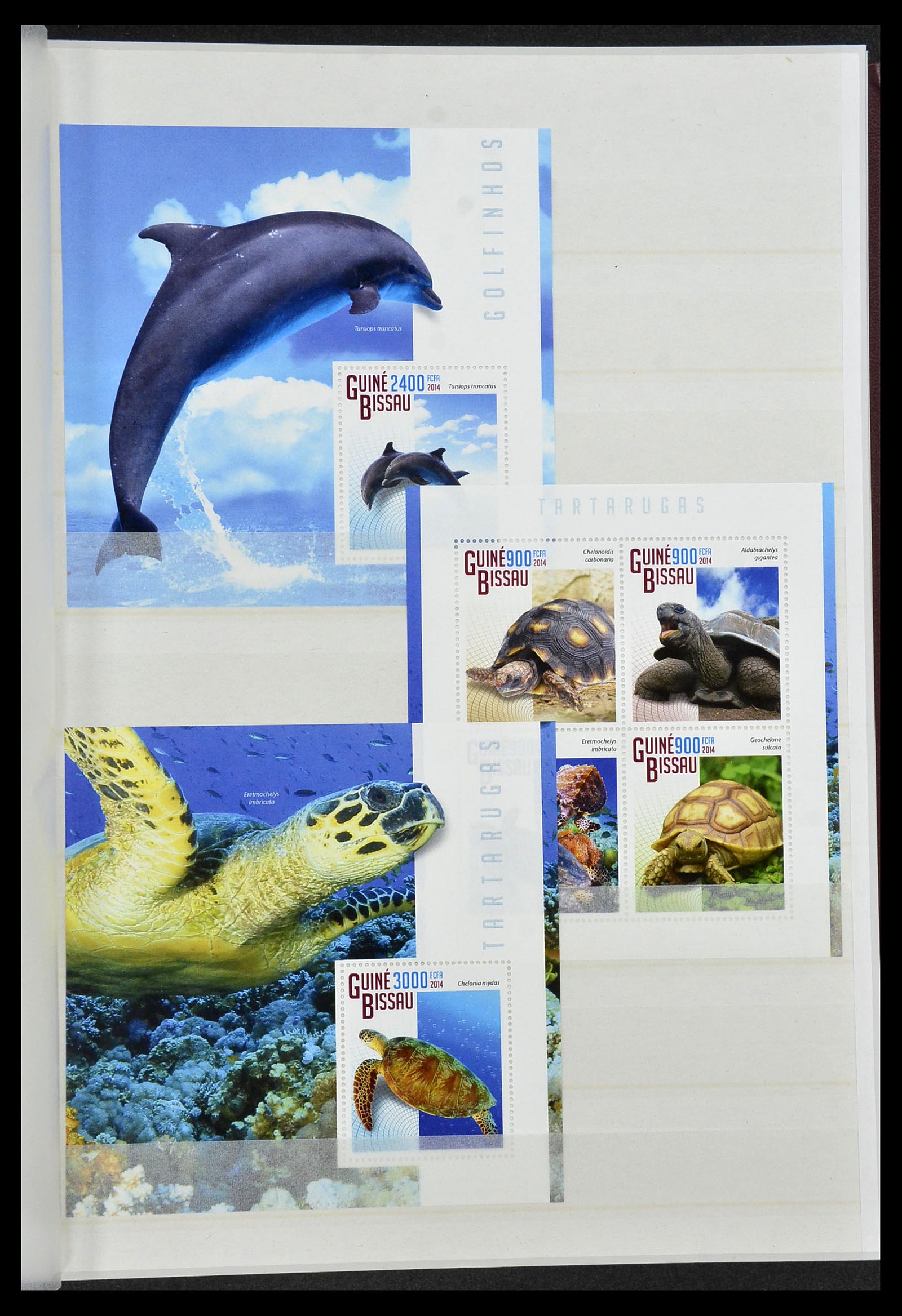 34528 207 - Stamp Collection 34528 British Commonwealth/thematics 1952-2015!