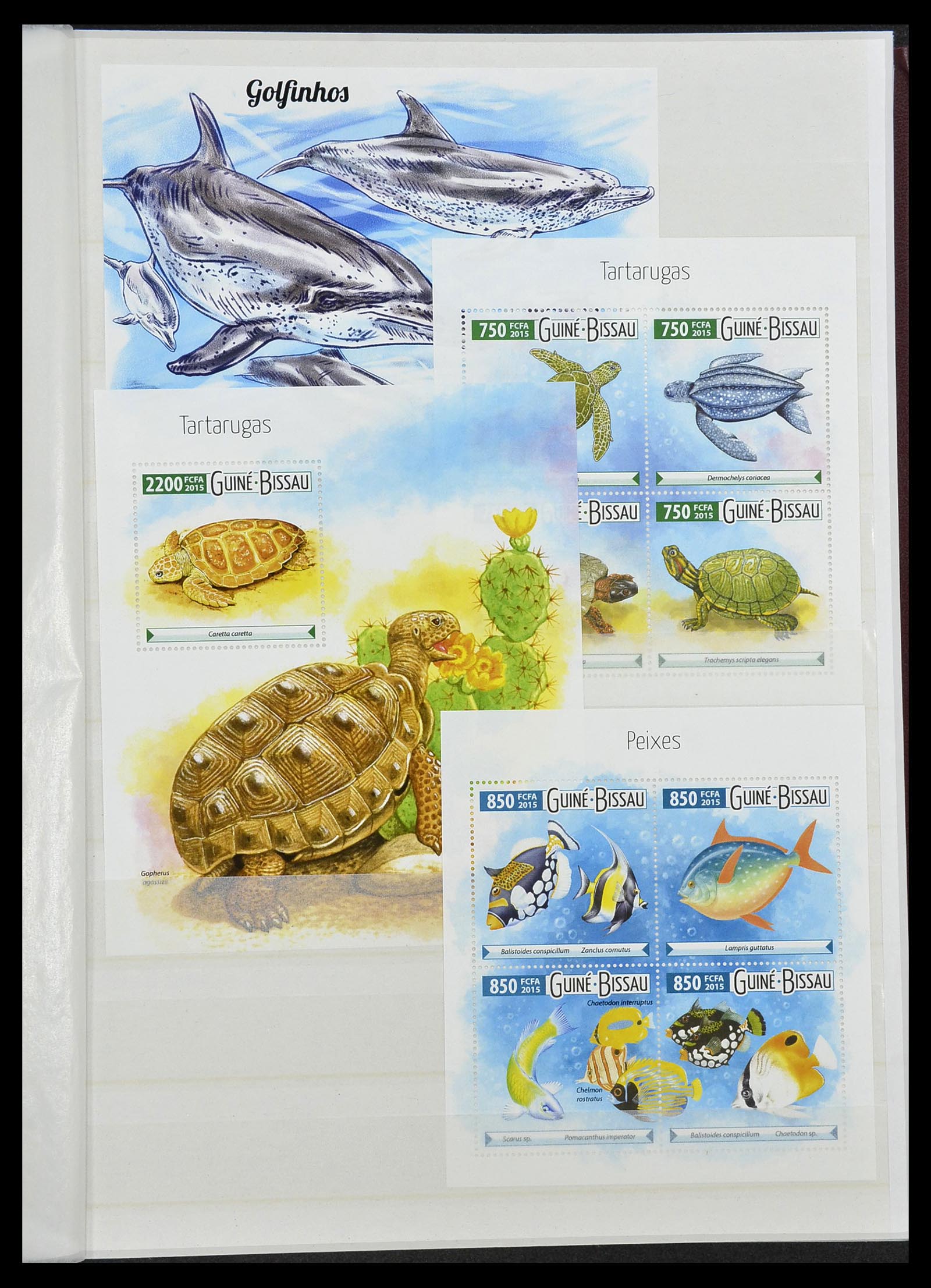 34528 209 - Stamp Collection 34528 British Commonwealth/thematics 1952-2015!