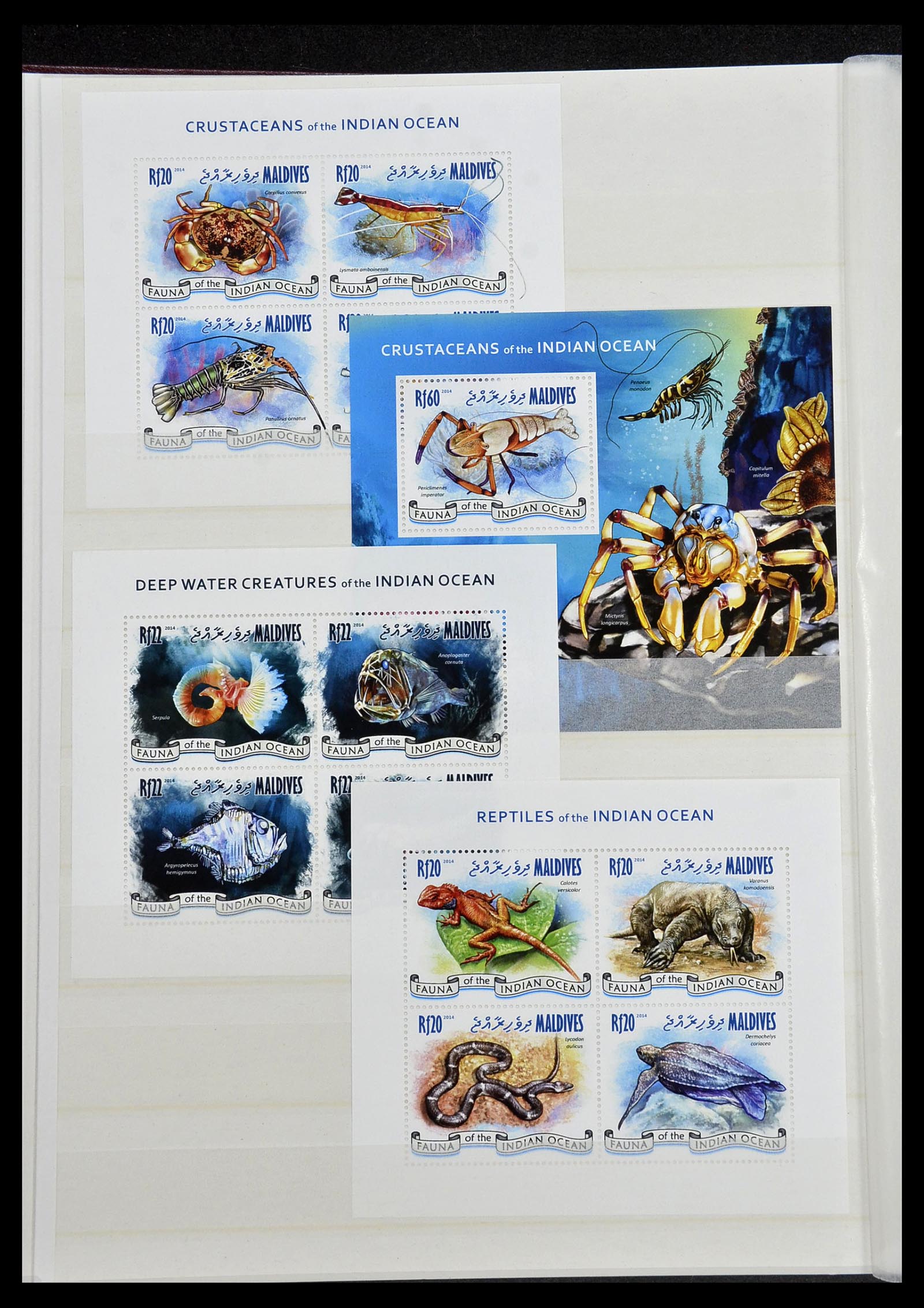 34528 212 - Stamp Collection 34528 British Commonwealth/thematics 1952-2015!