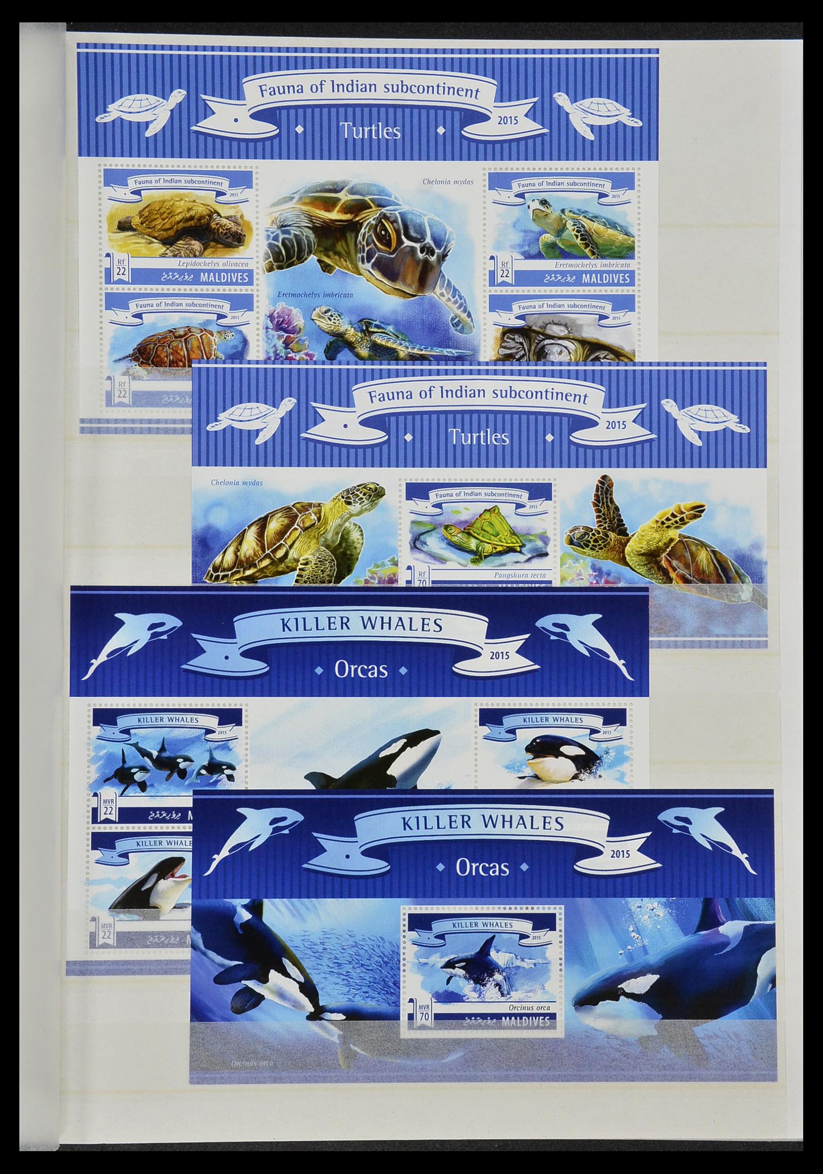 34528 215 - Stamp Collection 34528 British Commonwealth/thematics 1952-2015!