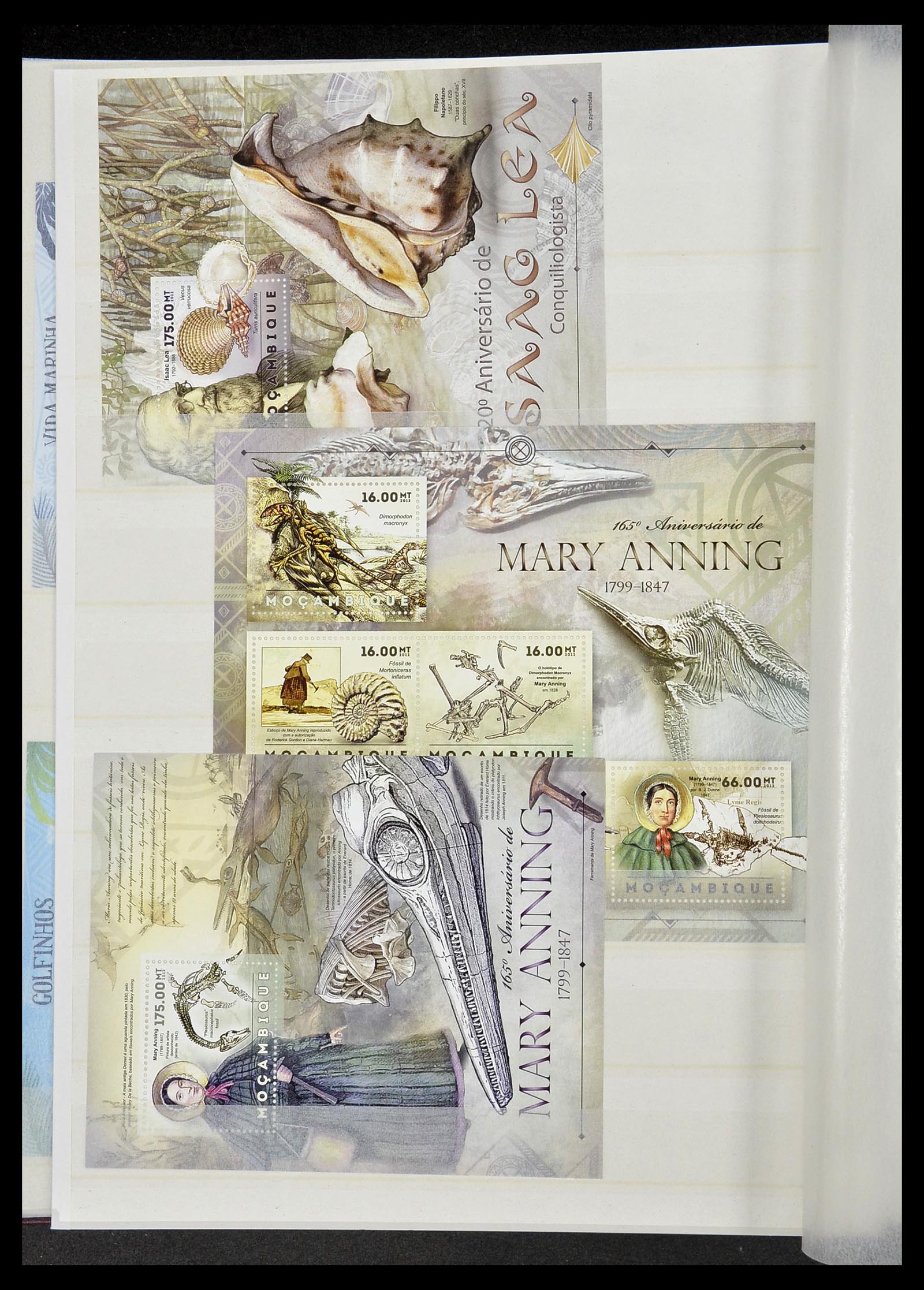 34528 226 - Stamp Collection 34528 British Commonwealth/thematics 1952-2015!