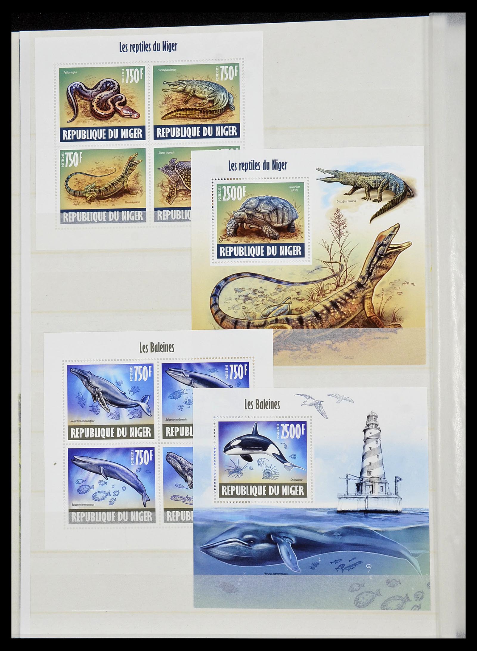 34528 238 - Stamp Collection 34528 British Commonwealth/thematics 1952-2015!
