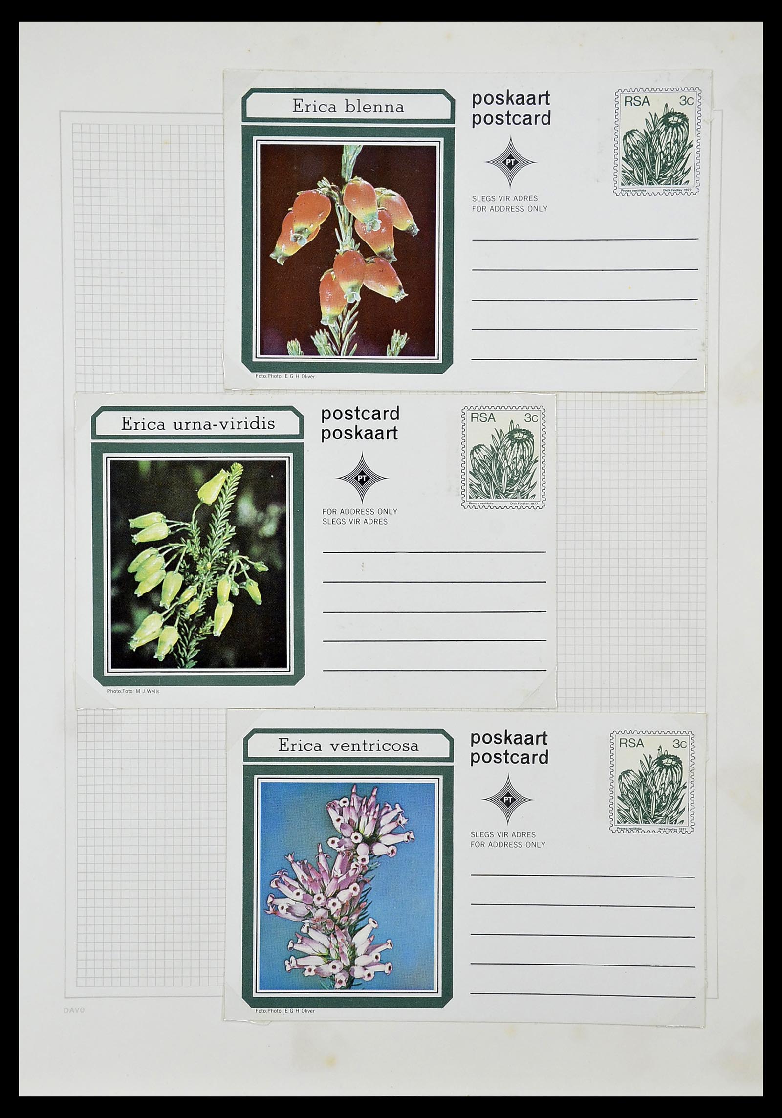 34533 105 - Postzegelverzameling 34533 Zuid Afrika 1870-2000.