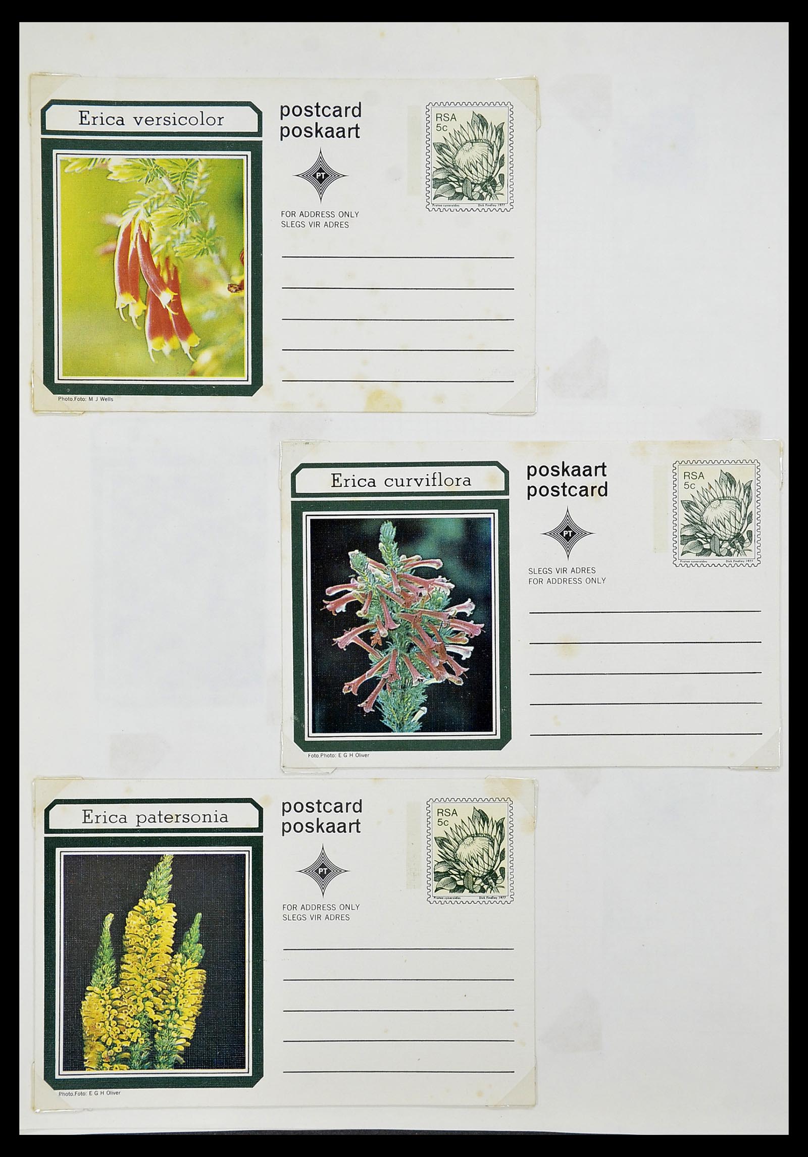 34533 106 - Postzegelverzameling 34533 Zuid Afrika 1870-2000.