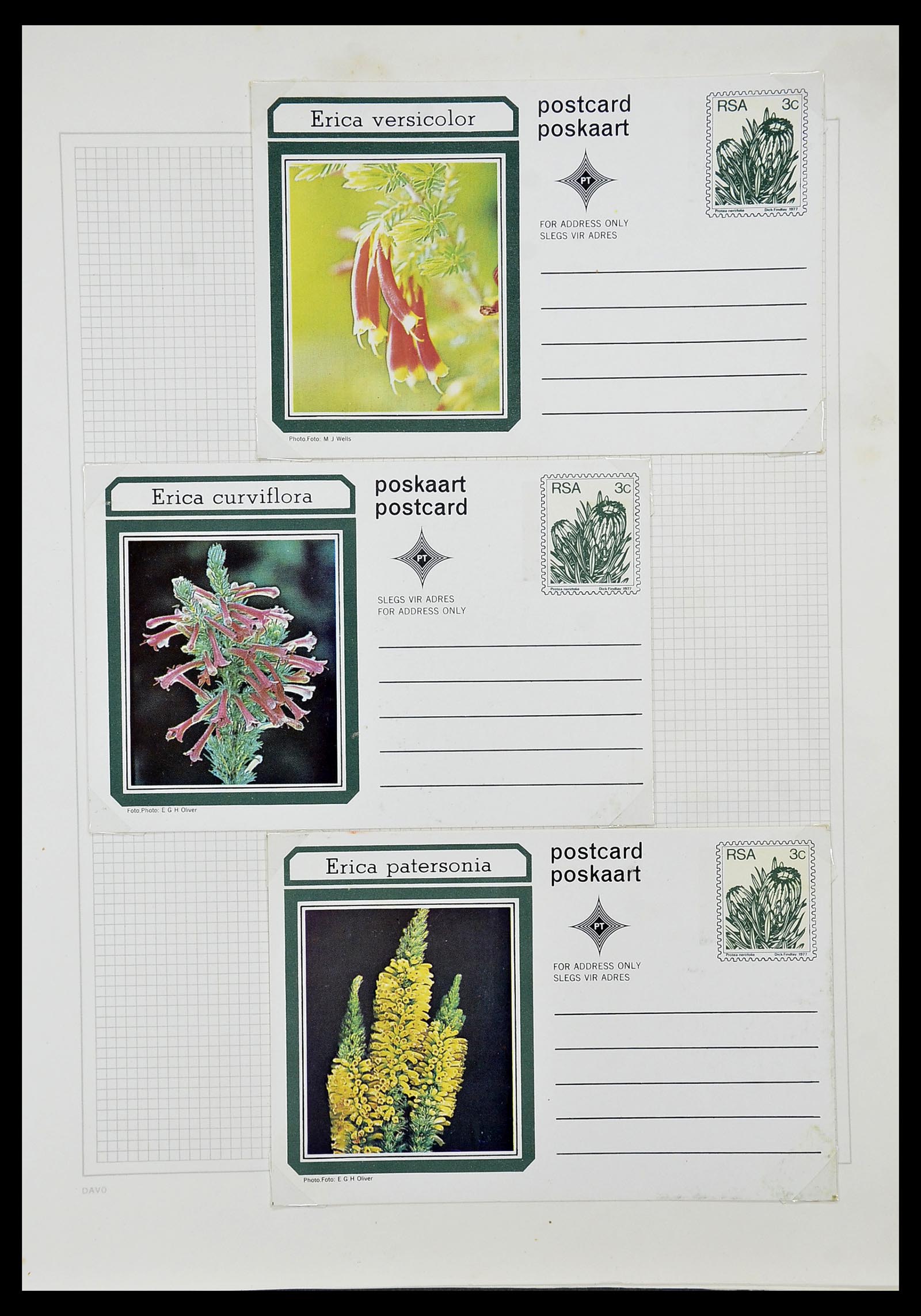 34533 107 - Postzegelverzameling 34533 Zuid Afrika 1870-2000.