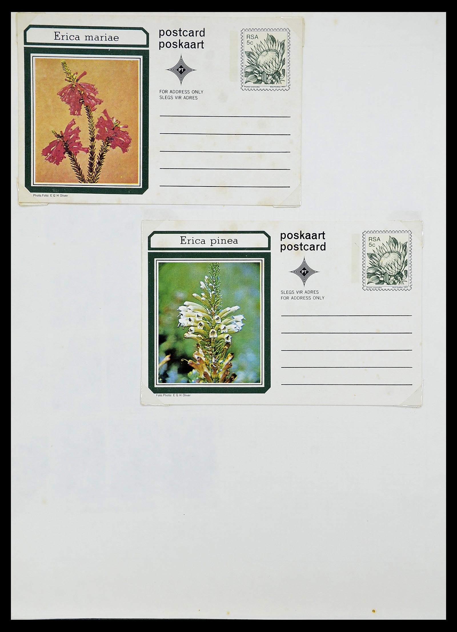 34533 117 - Postzegelverzameling 34533 Zuid Afrika 1870-2000.