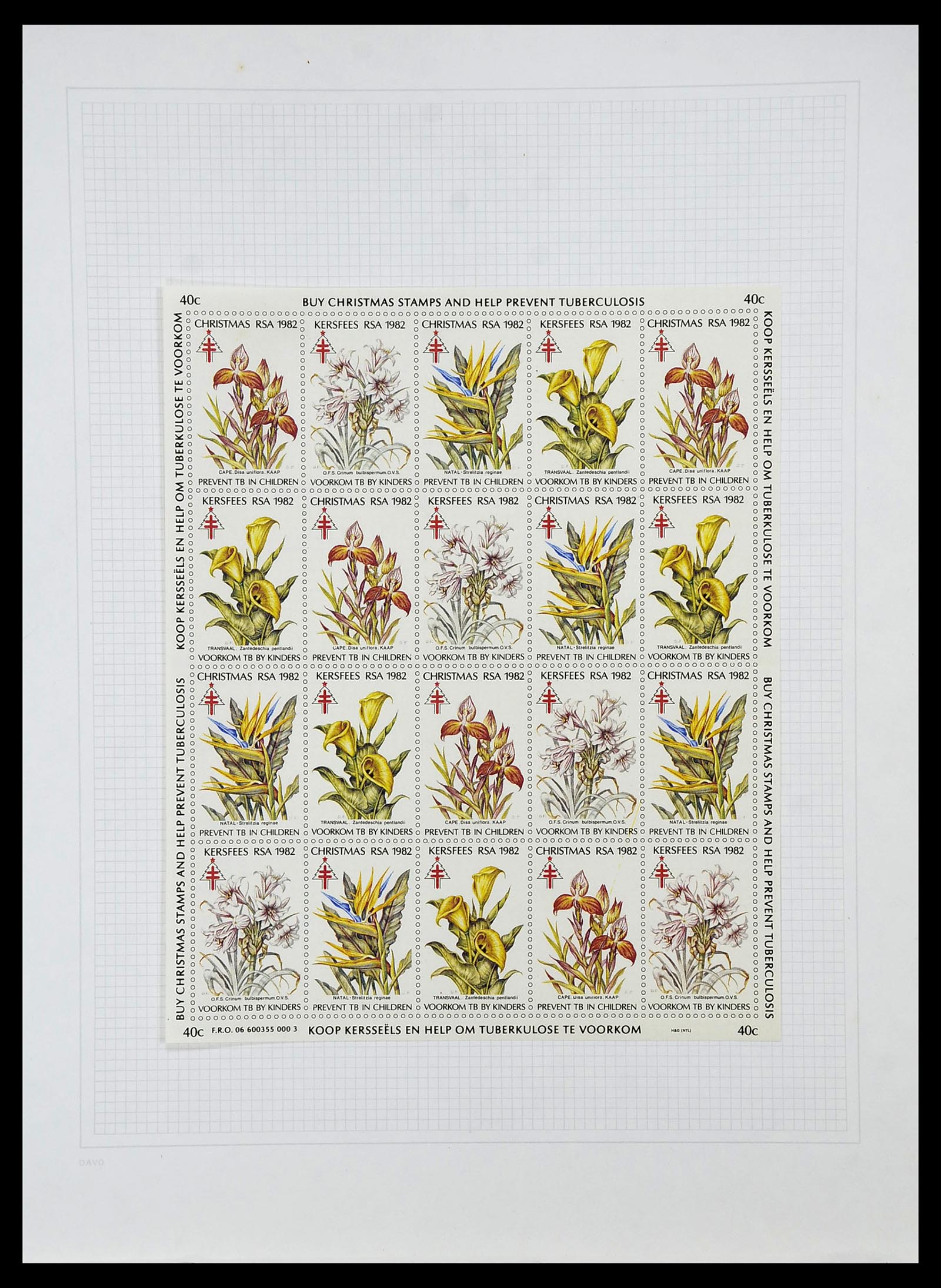 34533 119 - Postzegelverzameling 34533 Zuid Afrika 1870-2000.